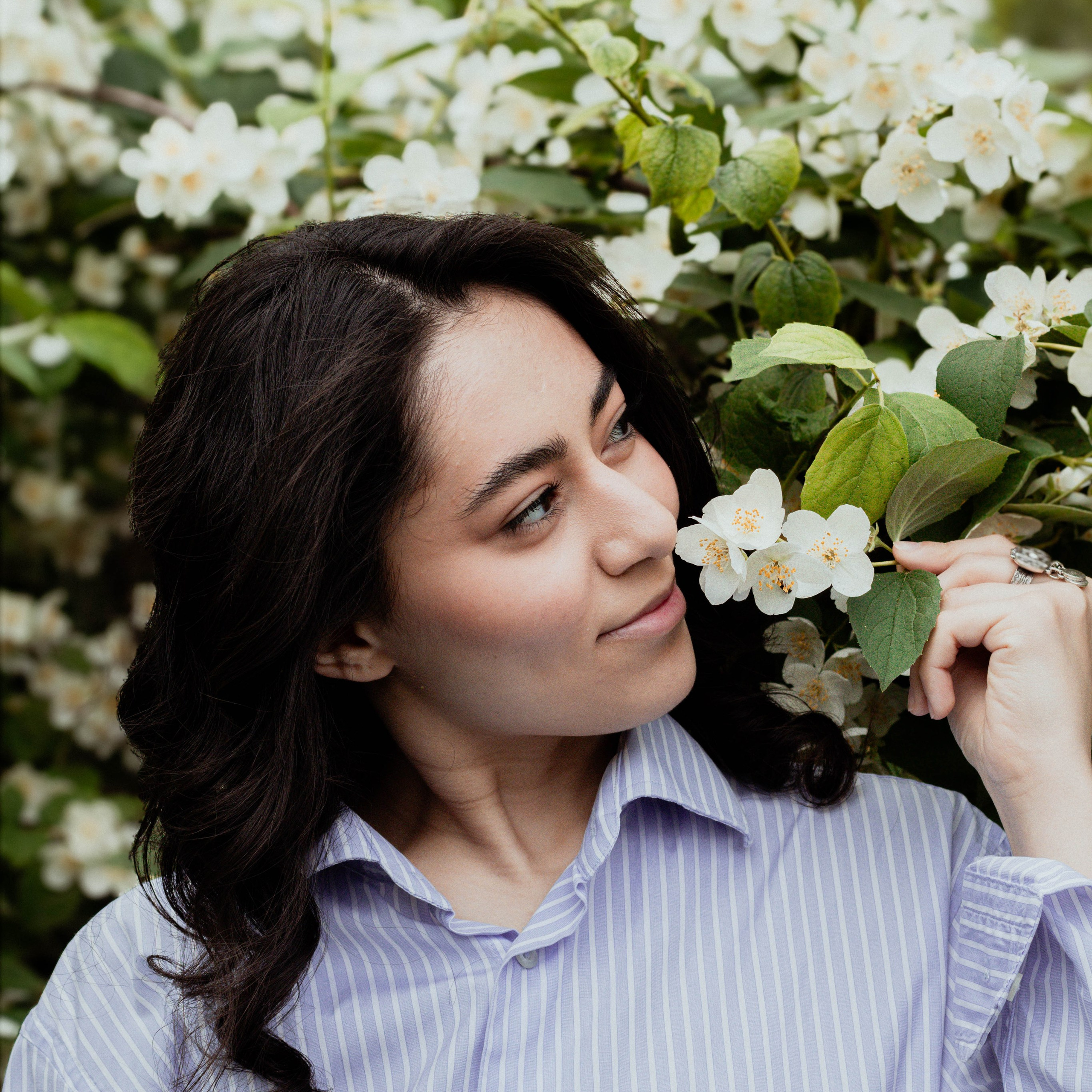 Солнце внутри