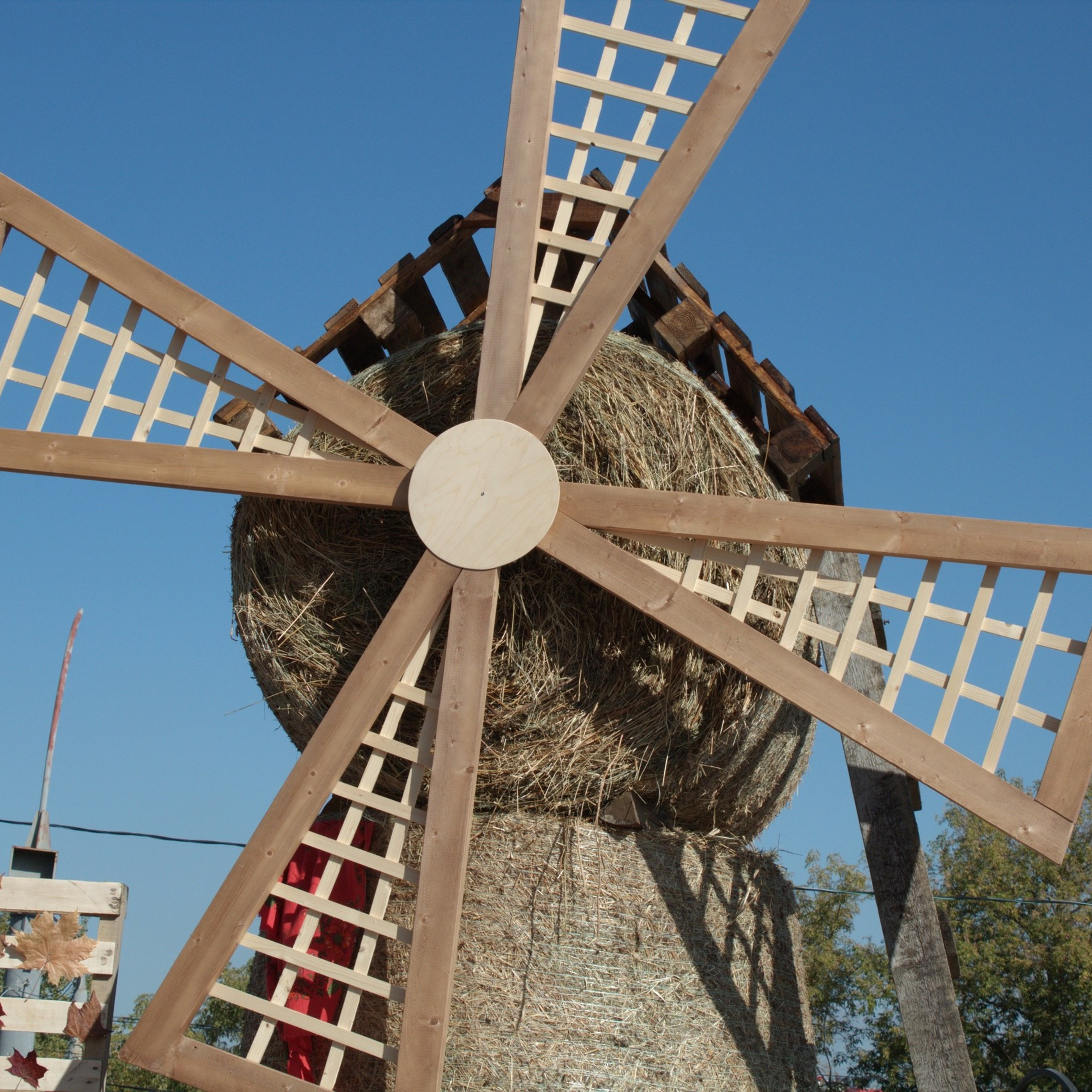 Репортажная съёмка, день жатвы