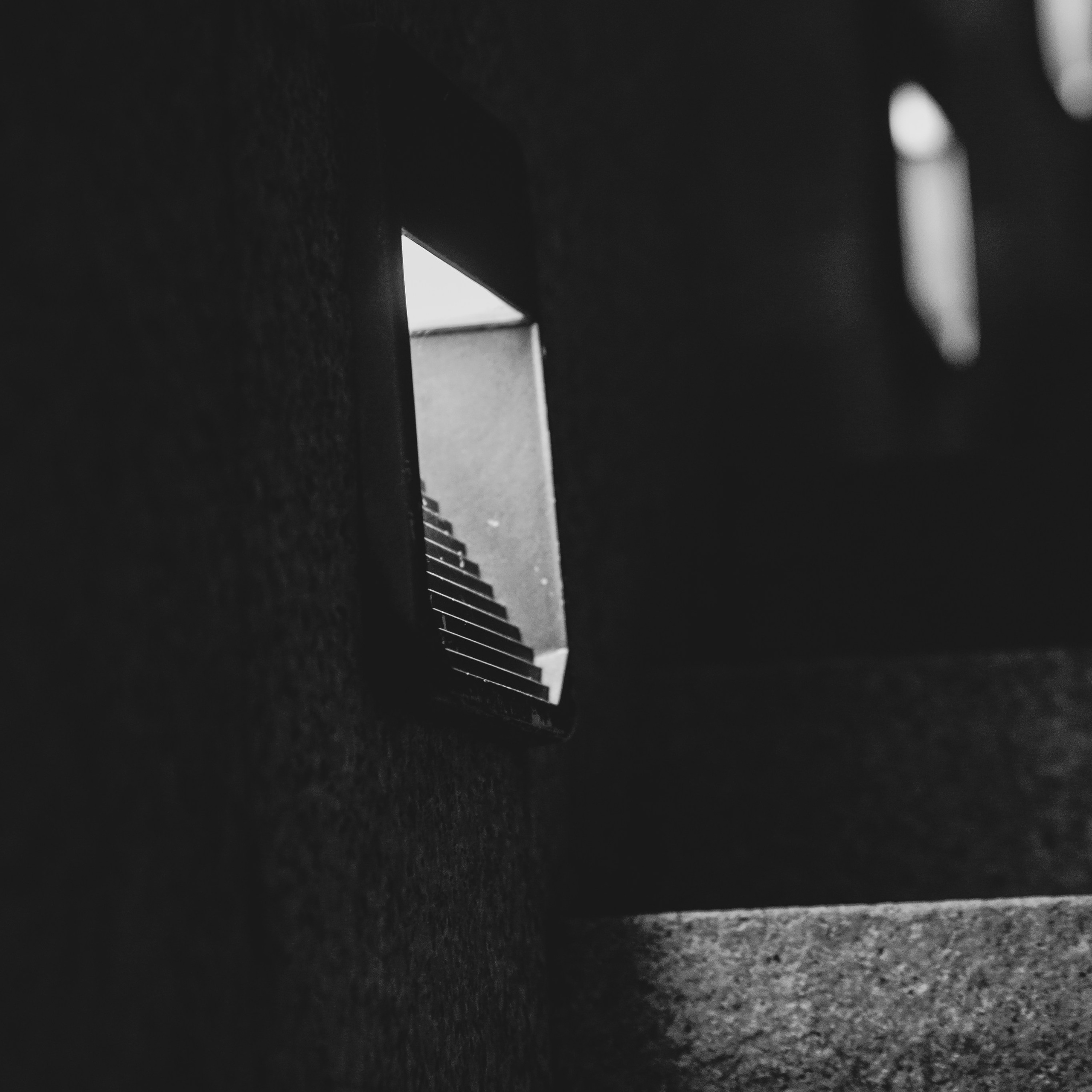 Портретный фотограф в Москве Мальцев Максим