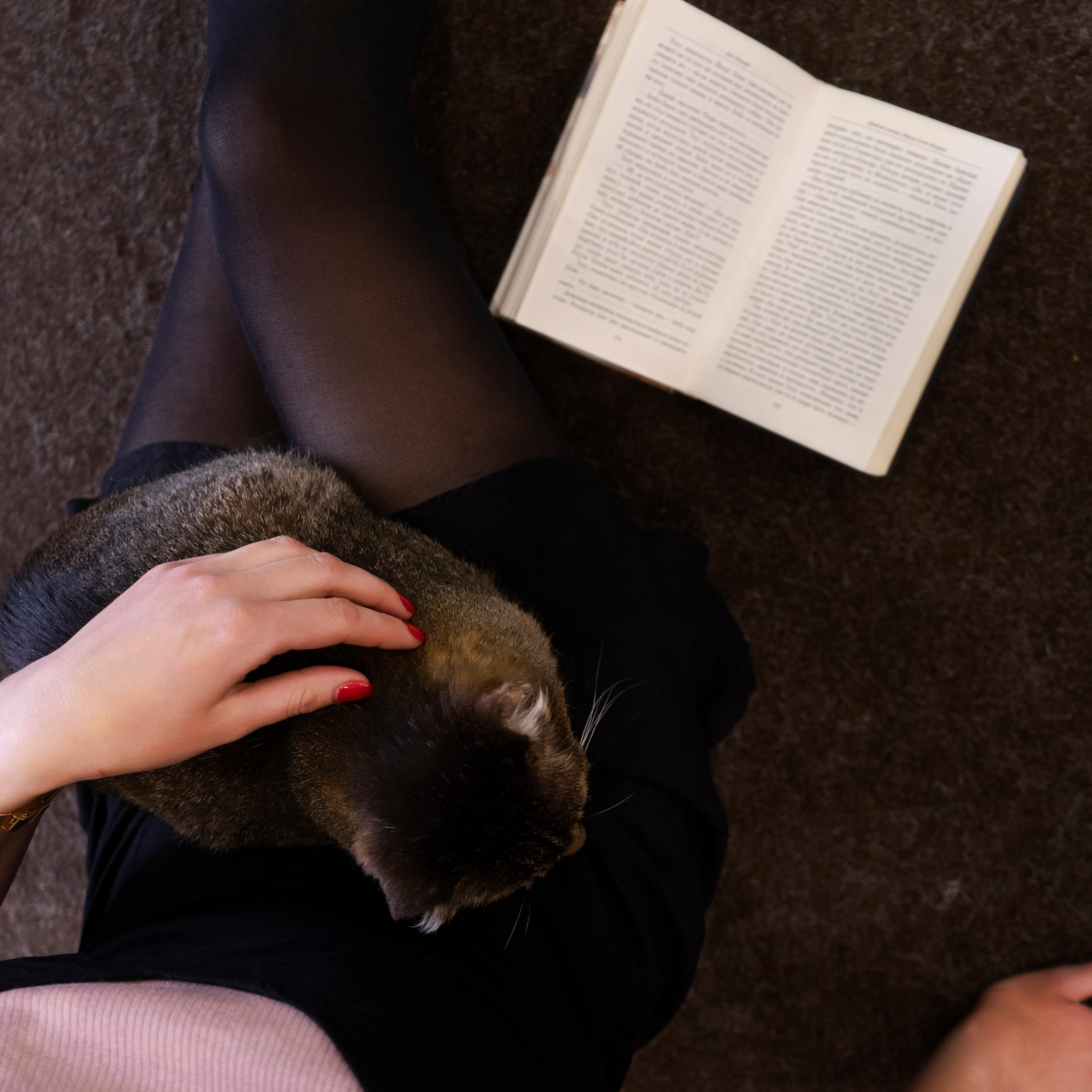 Котокафе. Фотограф в Чите Анна Фисенко