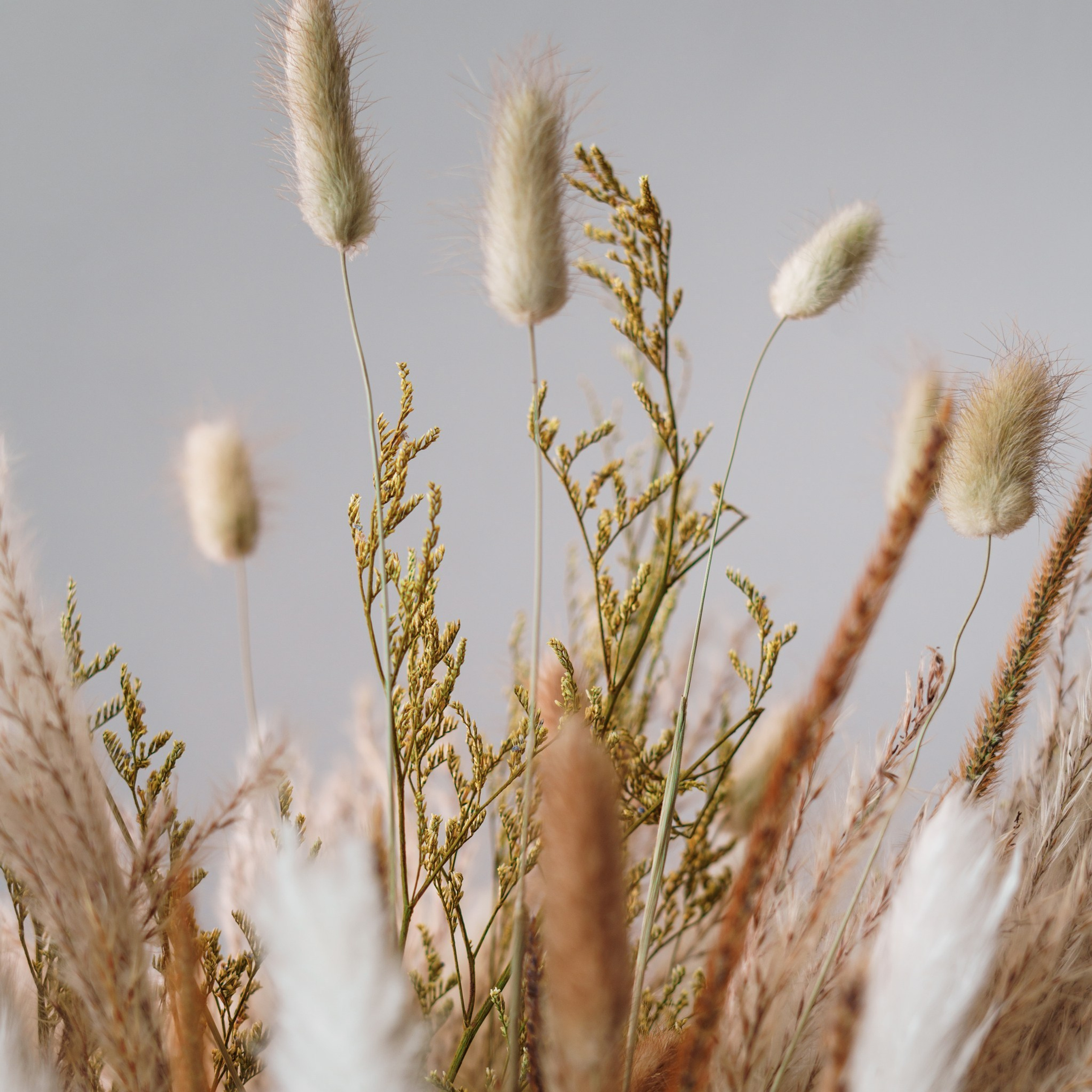 Отзывы. Фотограф в Чите Анна Фисенко