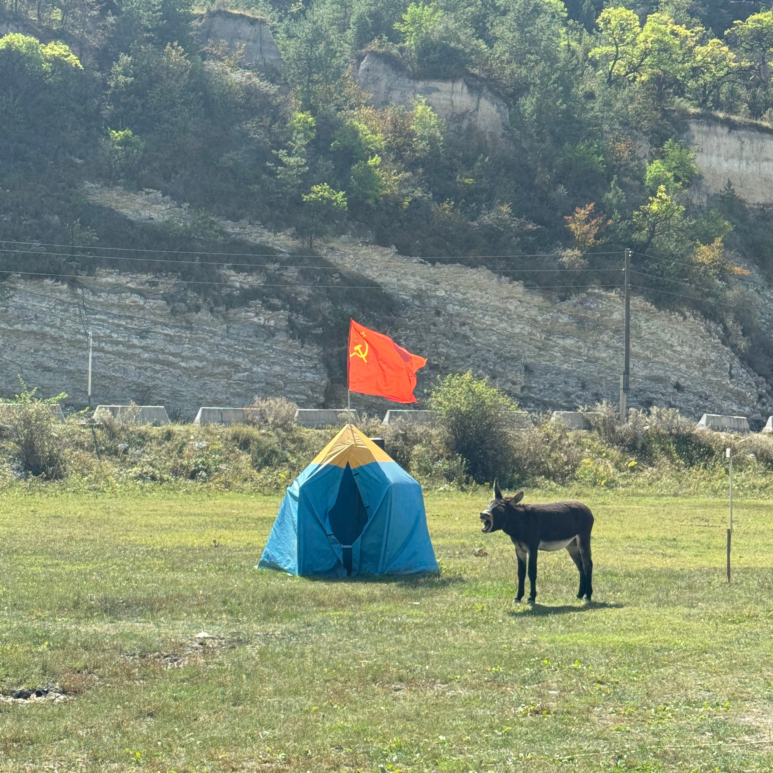 Отзывы. Авторские туры для девушек. путешествия, тут можно купить тур