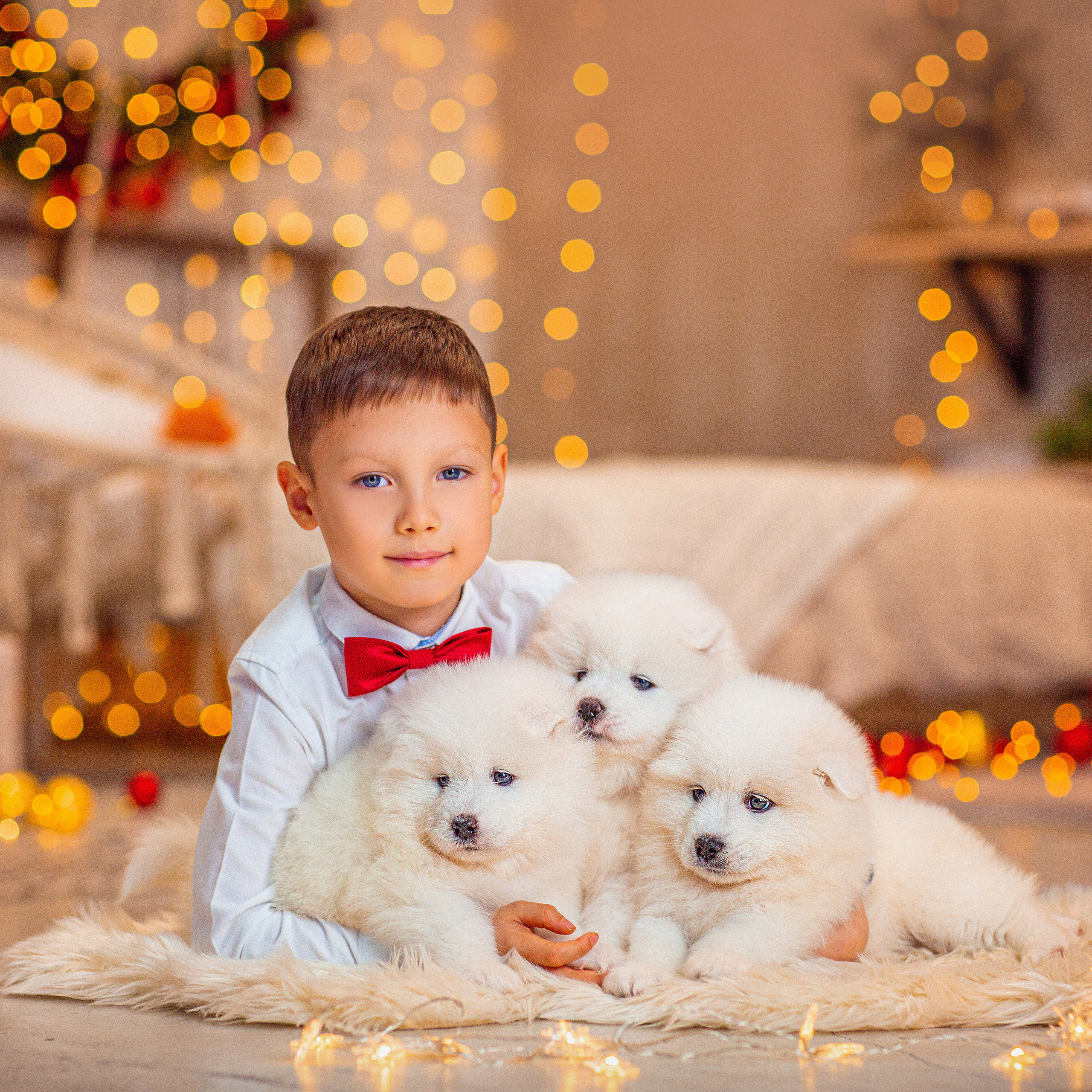 Семейные. Свадебный и семейный фотограф Елизавета Ермак | Москва и МО