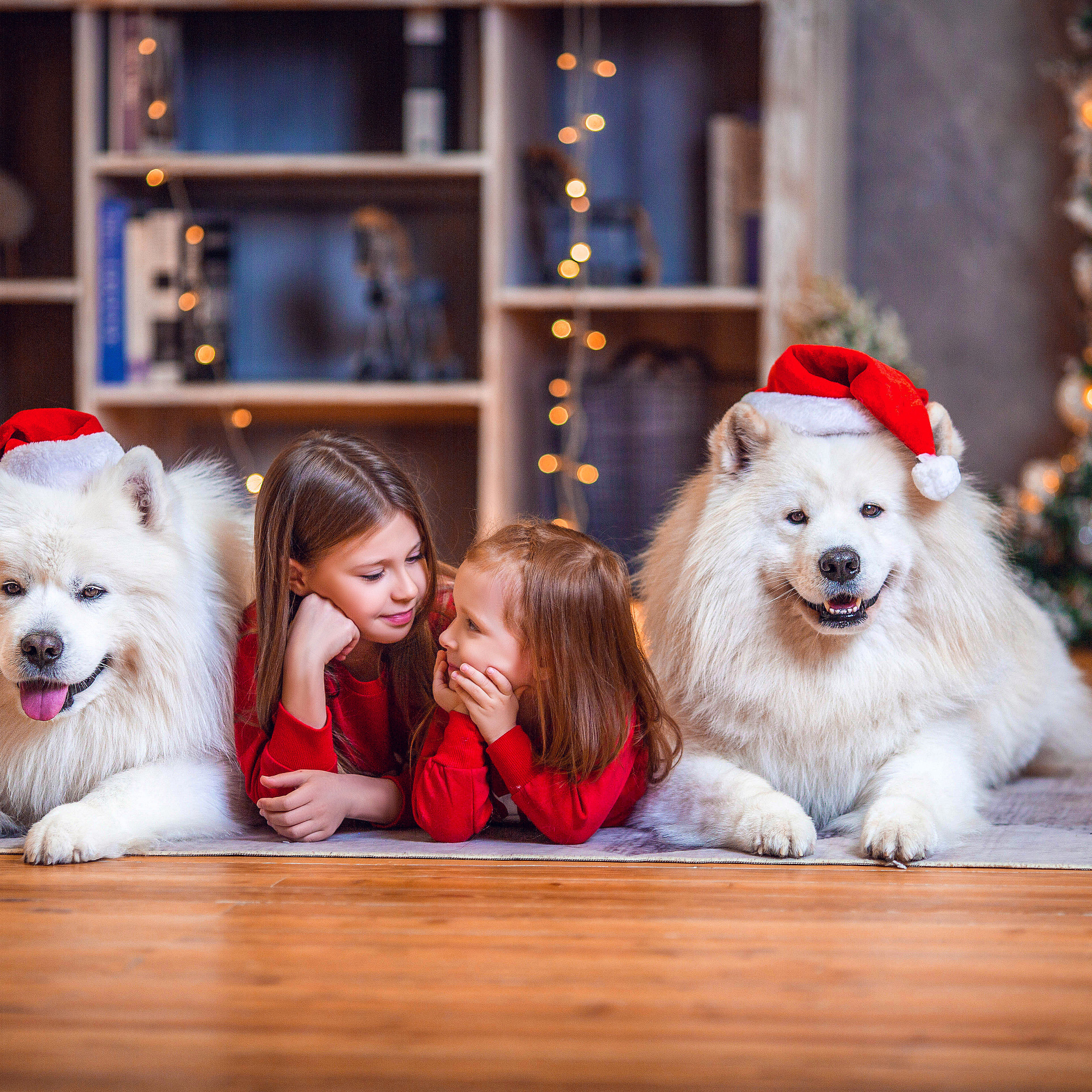Семейные. Свадебный и семейный фотограф Елизавета Ермак | Москва и МО