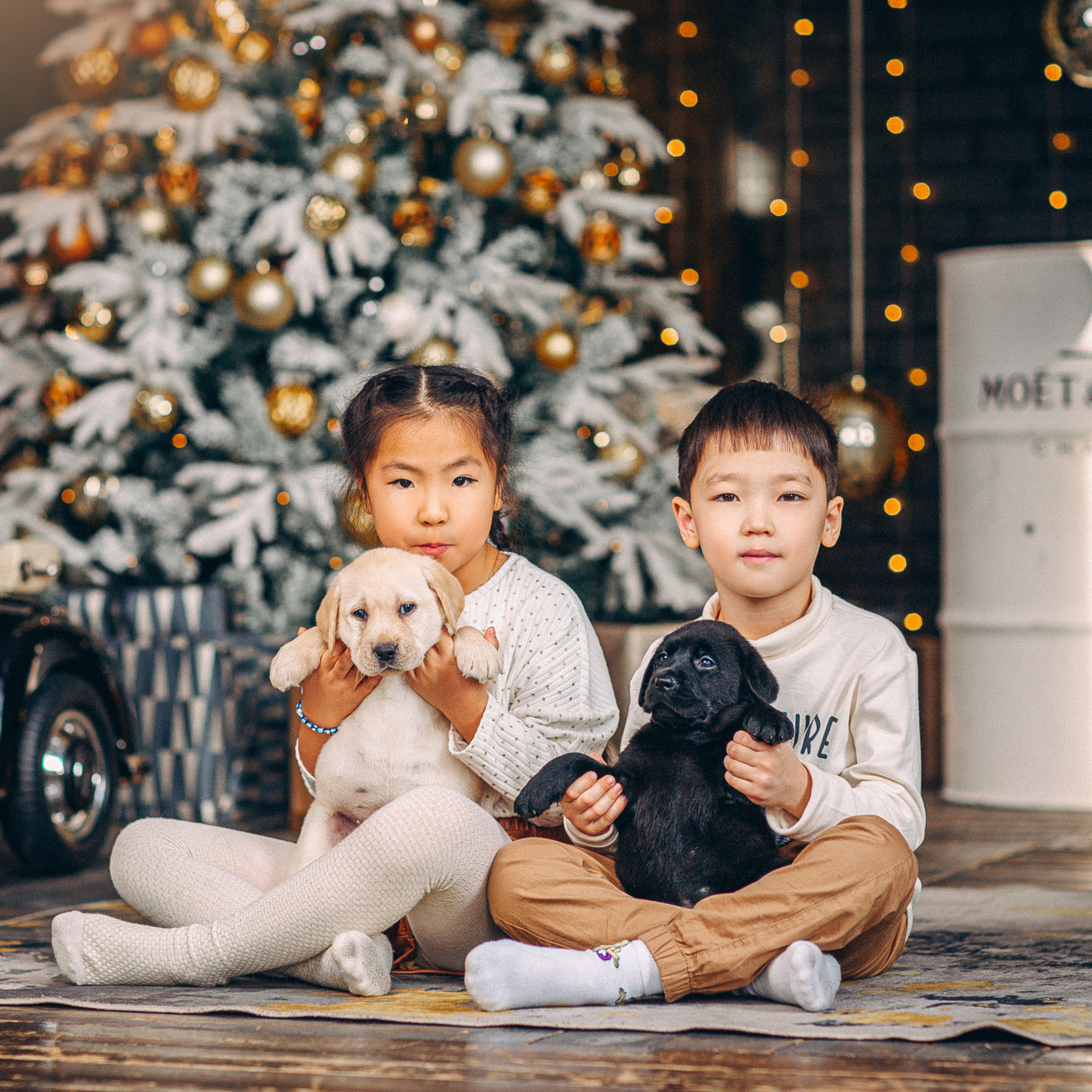 Семейные. Свадебный и семейный фотограф Елизавета Ермак | Москва и МО