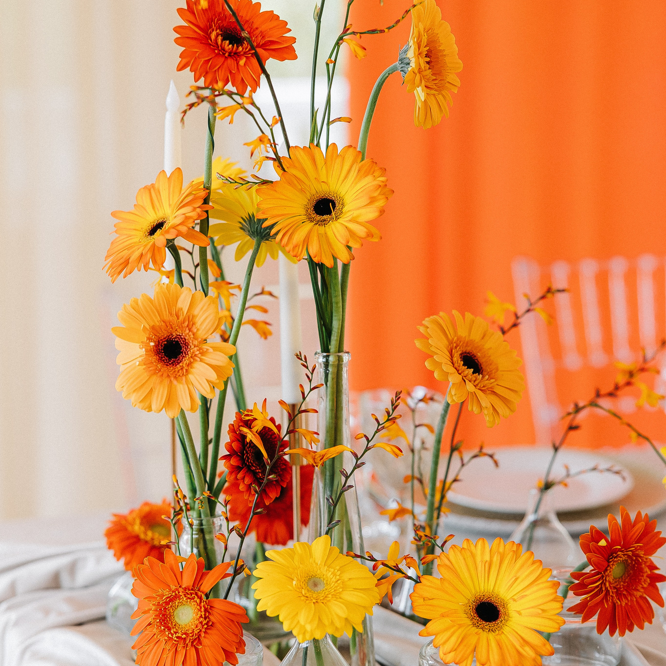 Свадьбы. Свадебный и семейный фотограф Елизавета Ермак | Москва и МО