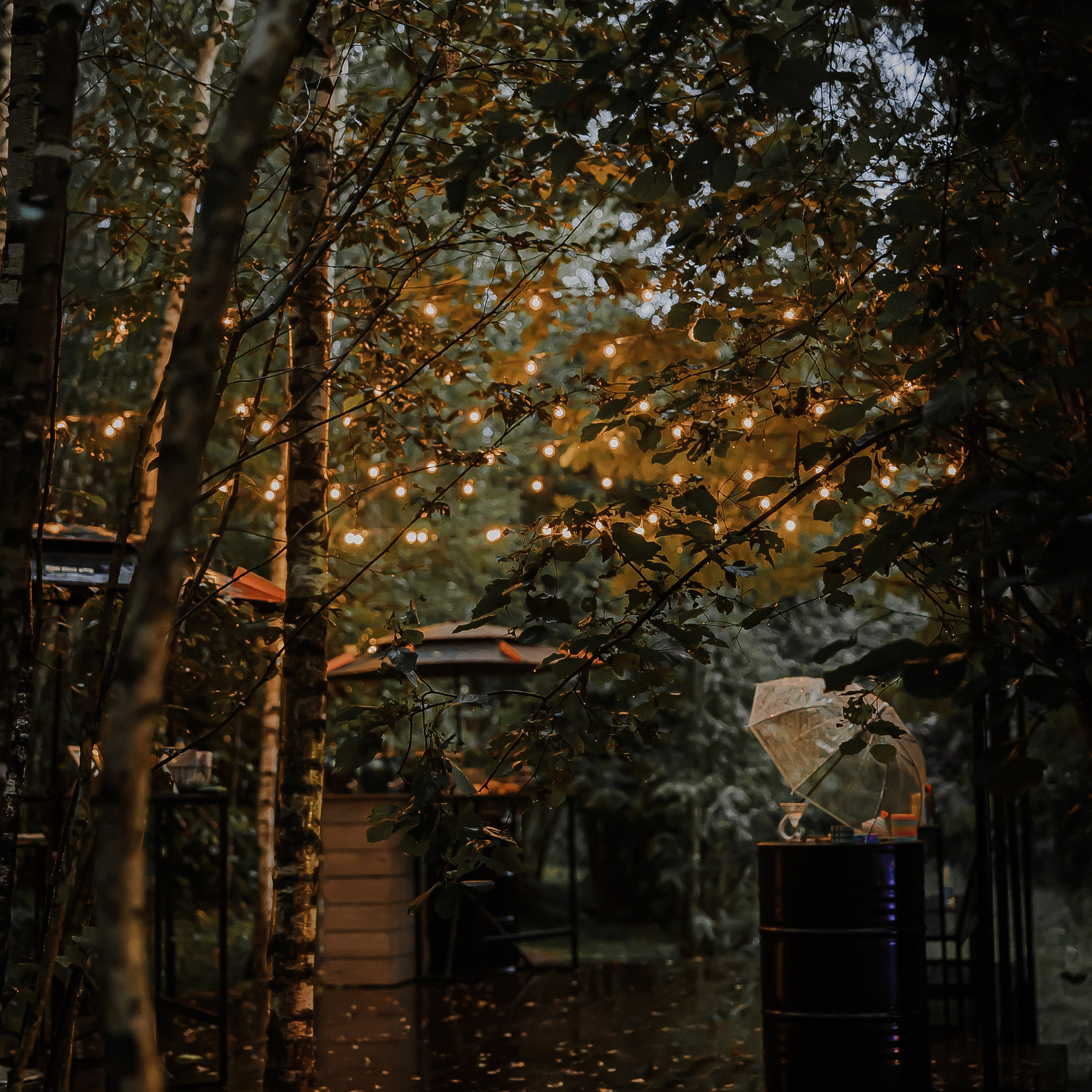 Александр и Арина. Свадебный и семейный фотограф Елизавета Ермак | Москва и МО