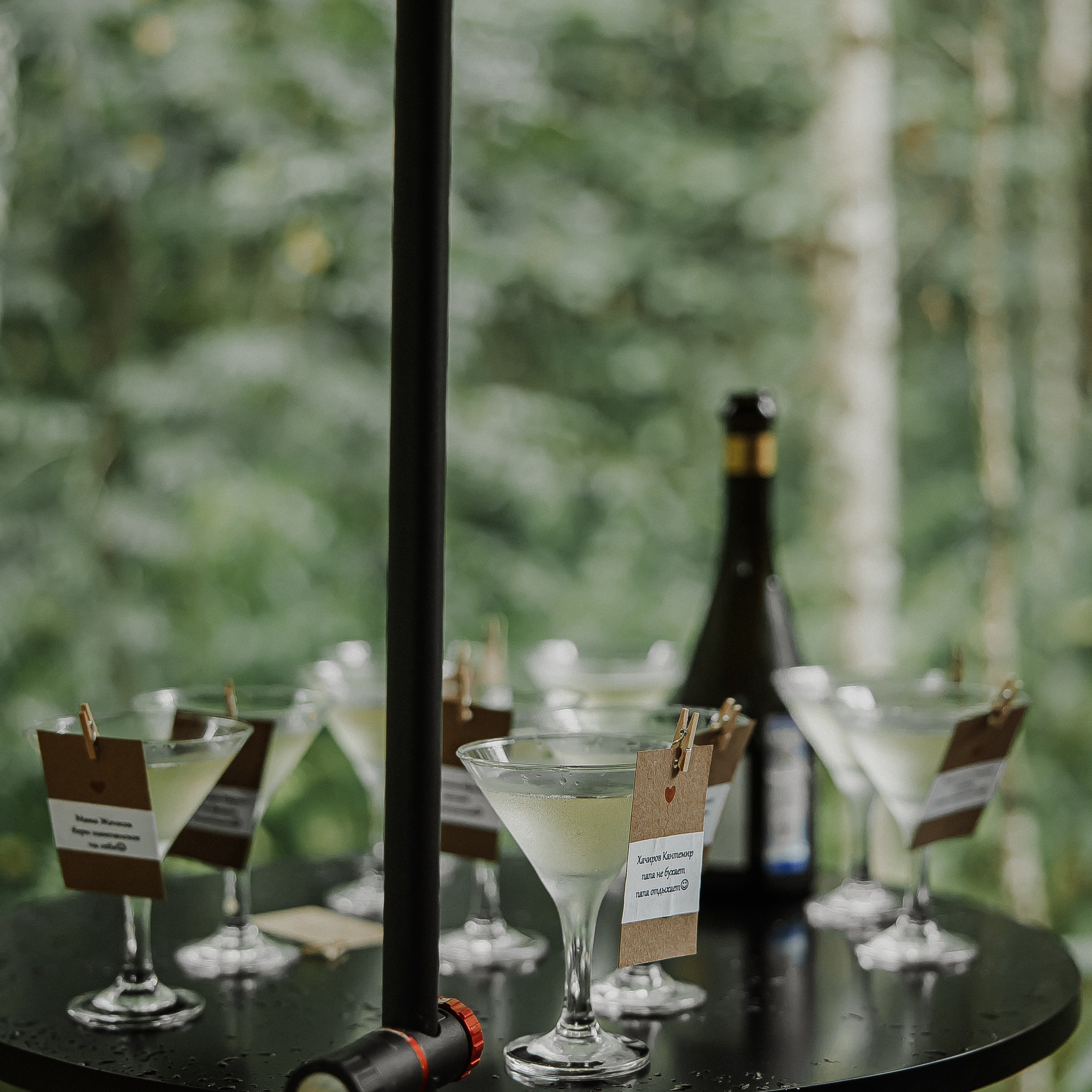 Александр и Арина. Свадебный и семейный фотограф Елизавета Ермак | Москва и МО