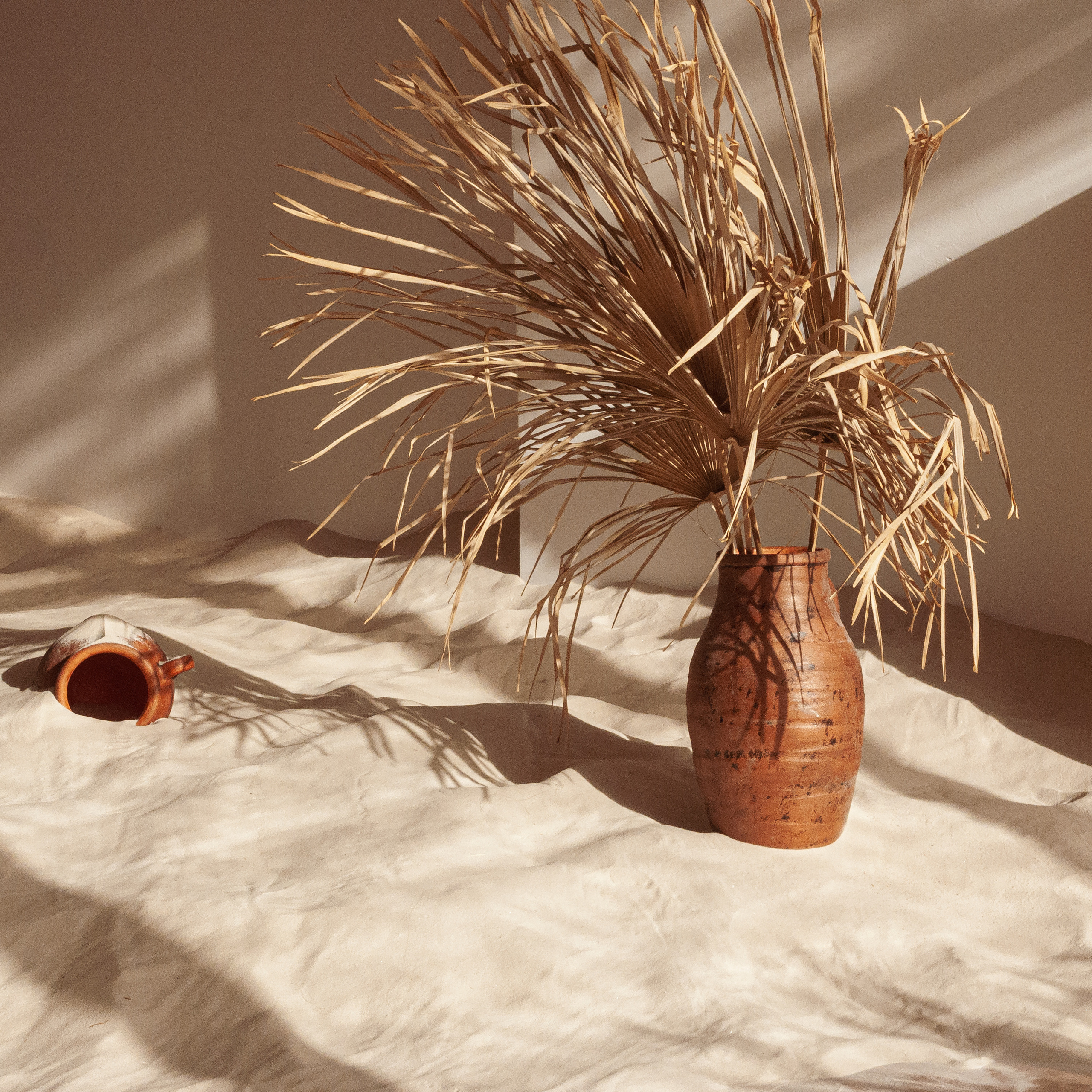 Marocco. Tick Studio