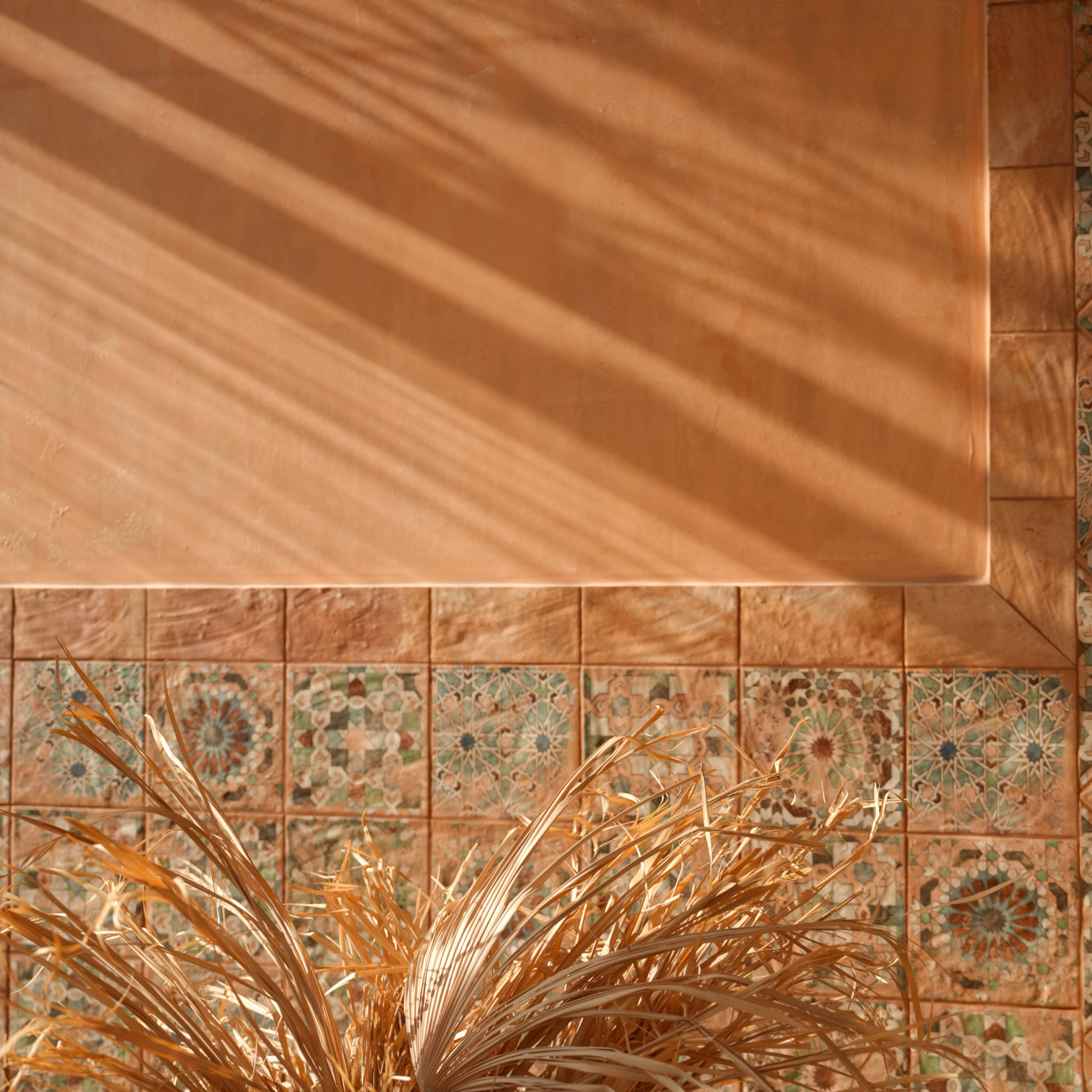 Marocco. Tick Studio