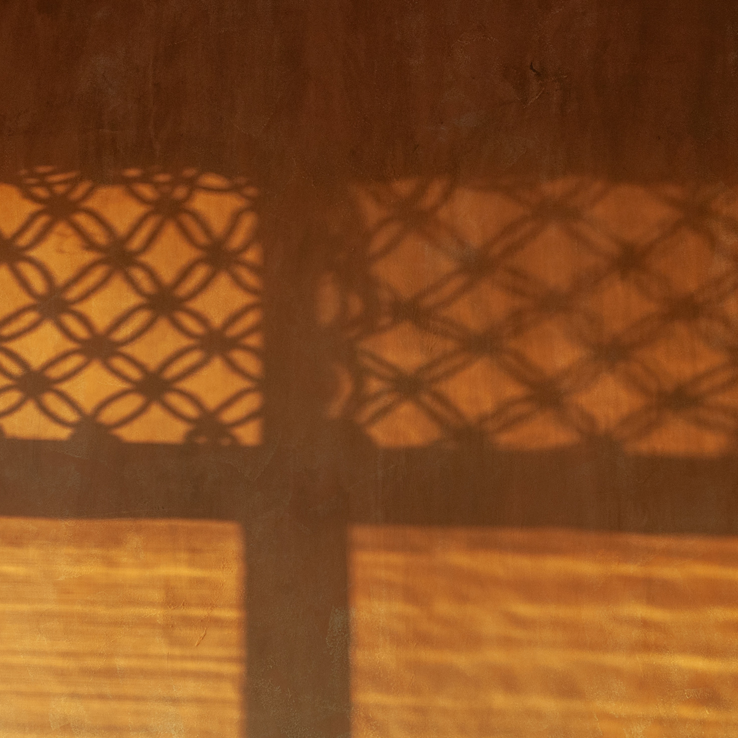 Marocco. Tick Studio