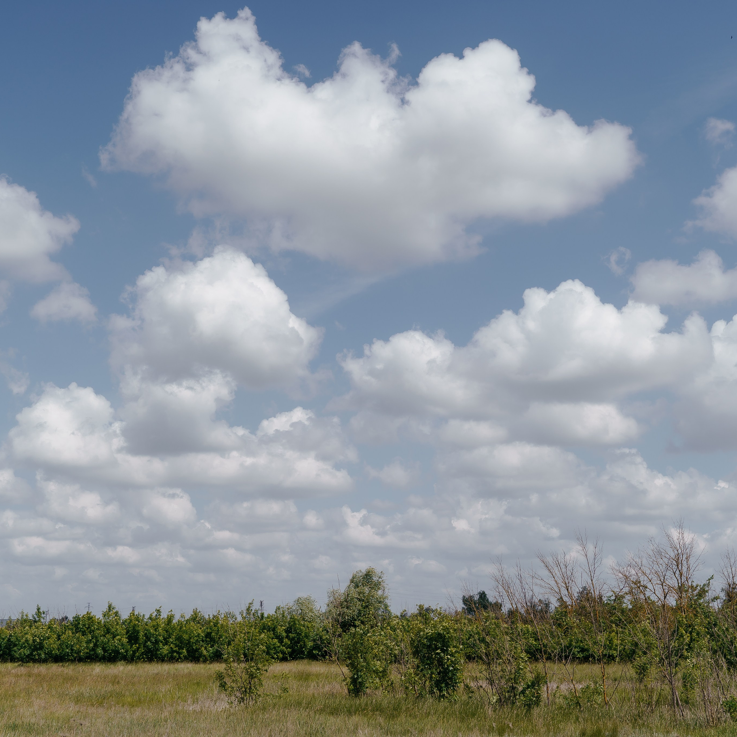 Константин и Елена