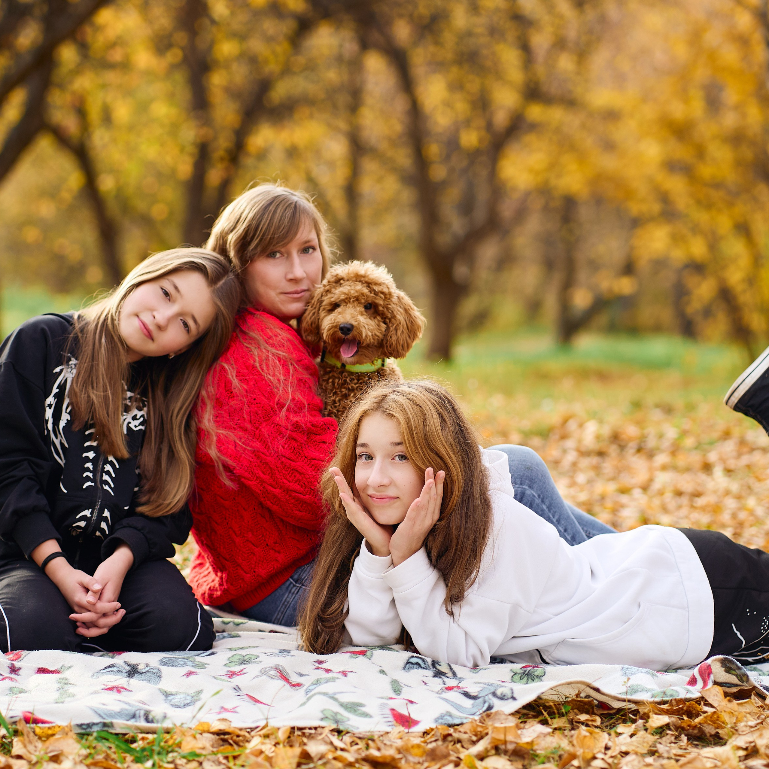 В осеннем парке