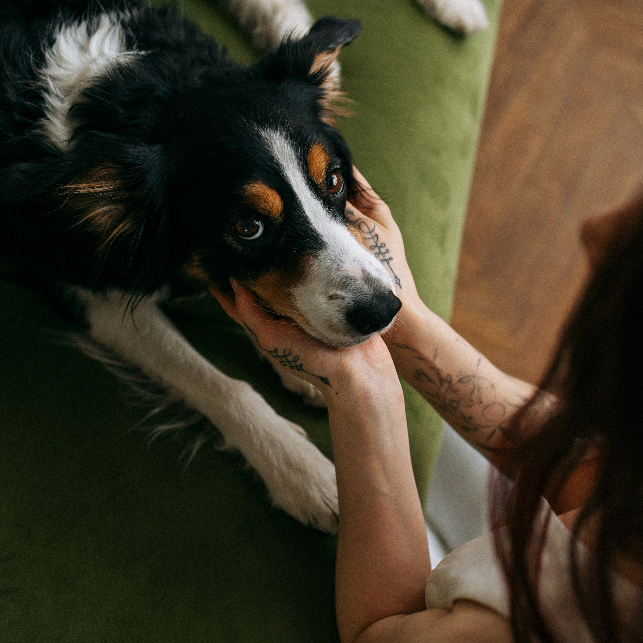 Цунами, Теон и&nbsp;Женя