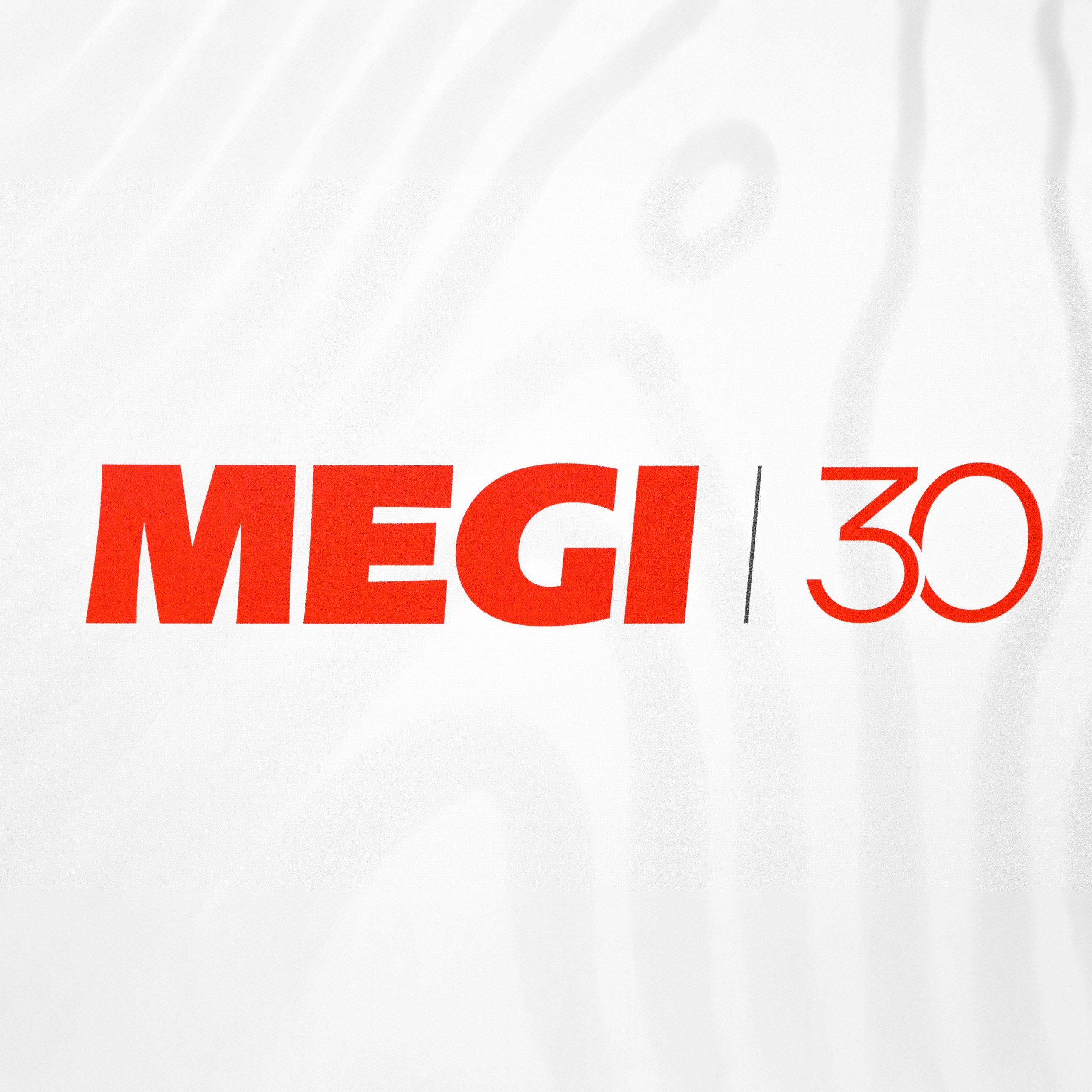 30 лет «Меги»