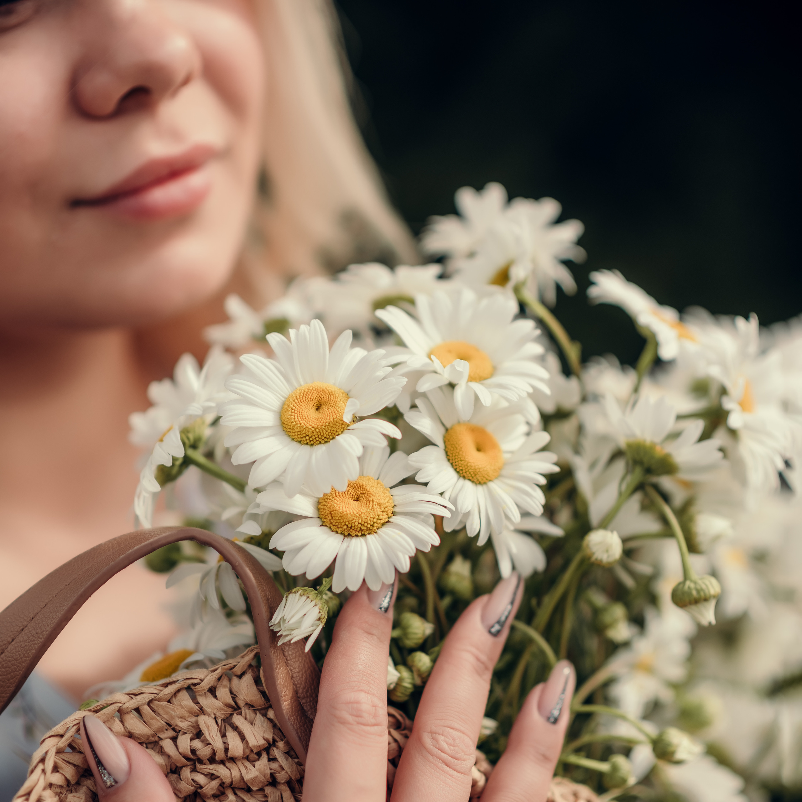 Светлана, Новая Голландия