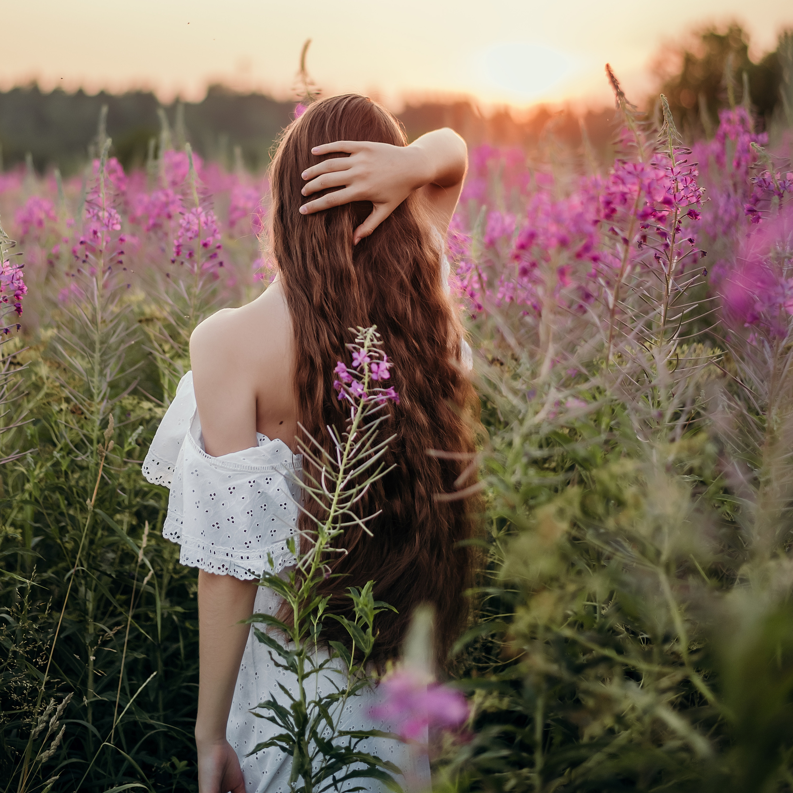 Эмилия, поле иван-чая и ромашек