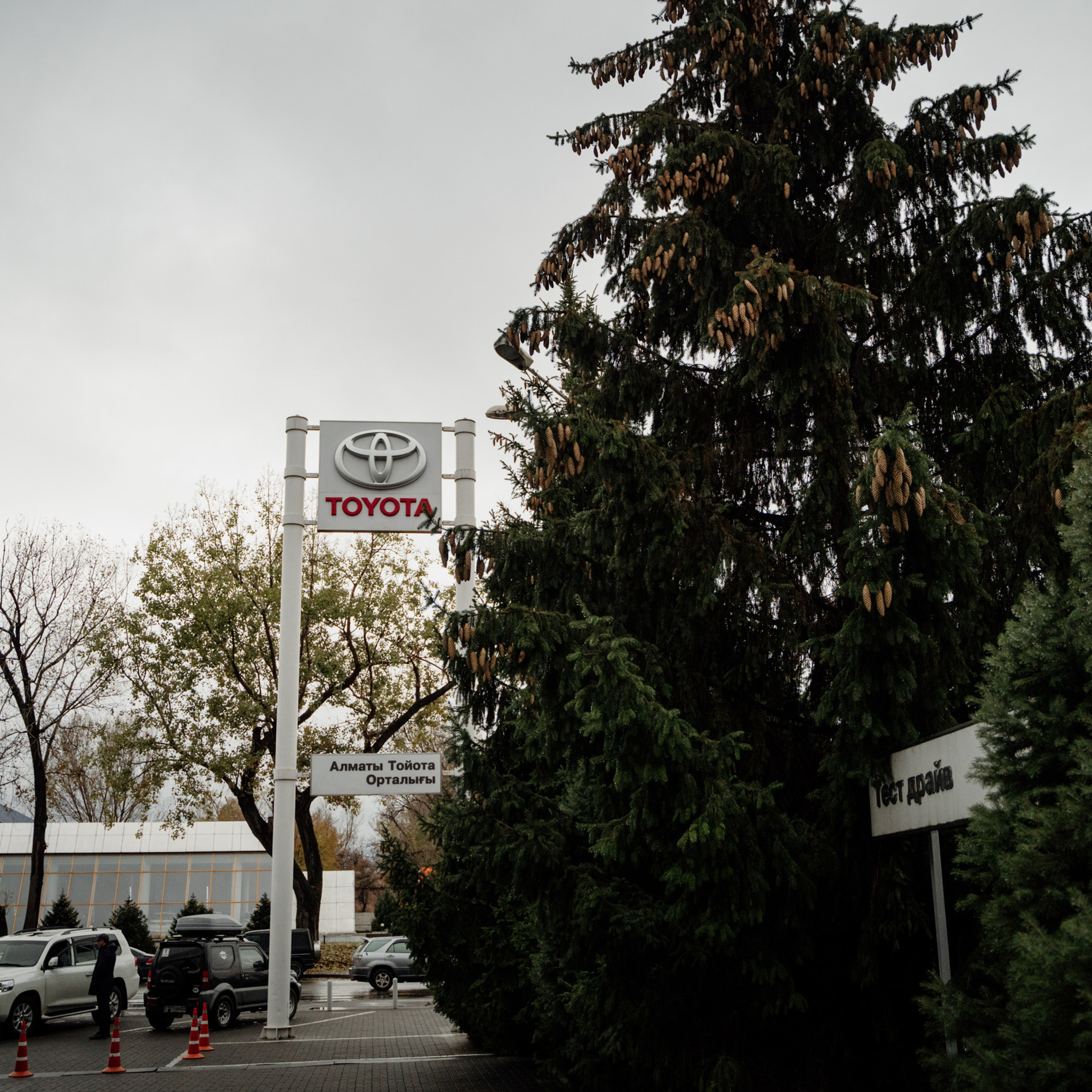 Elegant Wedding Photography Services in Montenegro. Photographer in Montenegro | Фотограф в Черногории