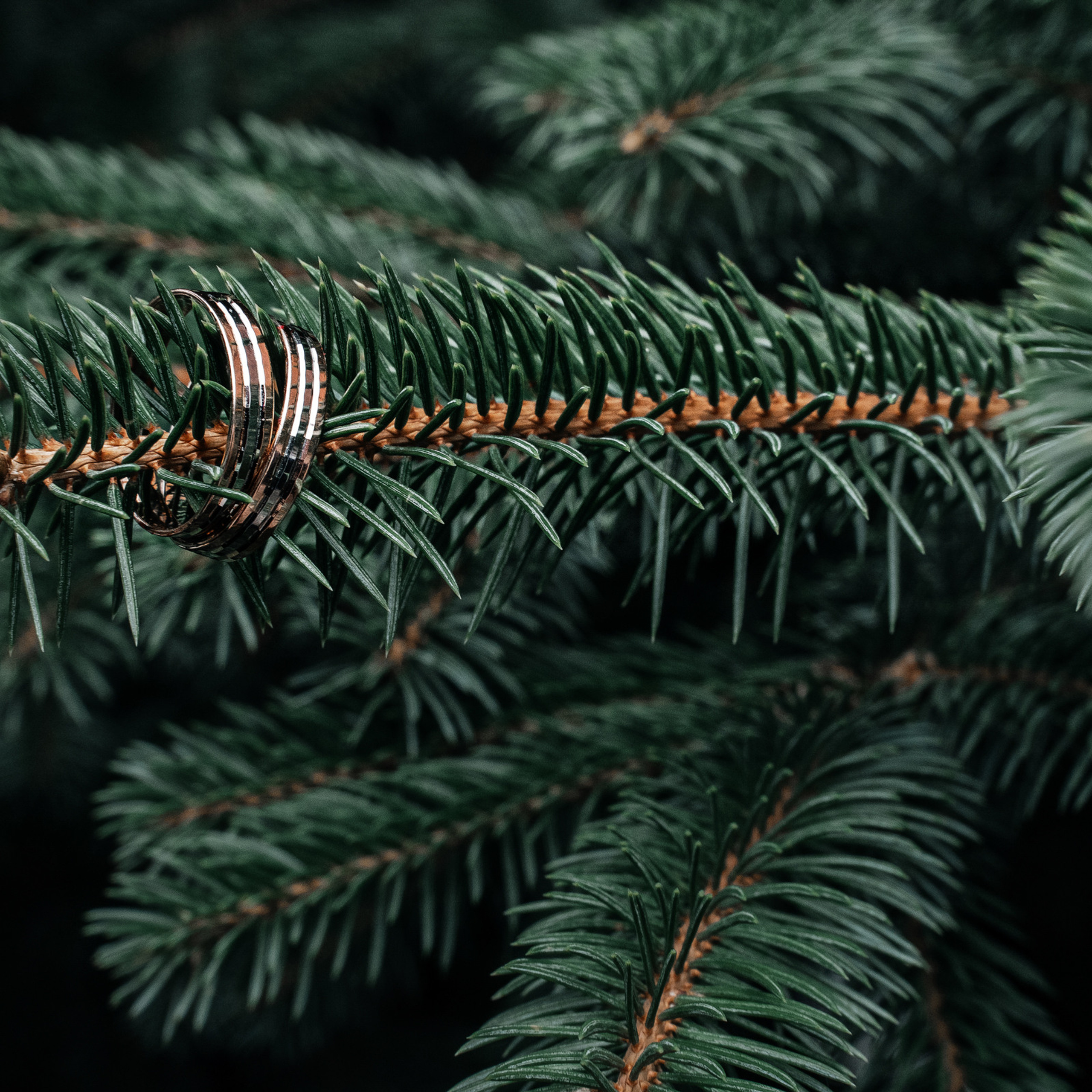 Elegant Wedding Photography Services in Montenegro. Photographer in Montenegro | Фотограф в Черногории