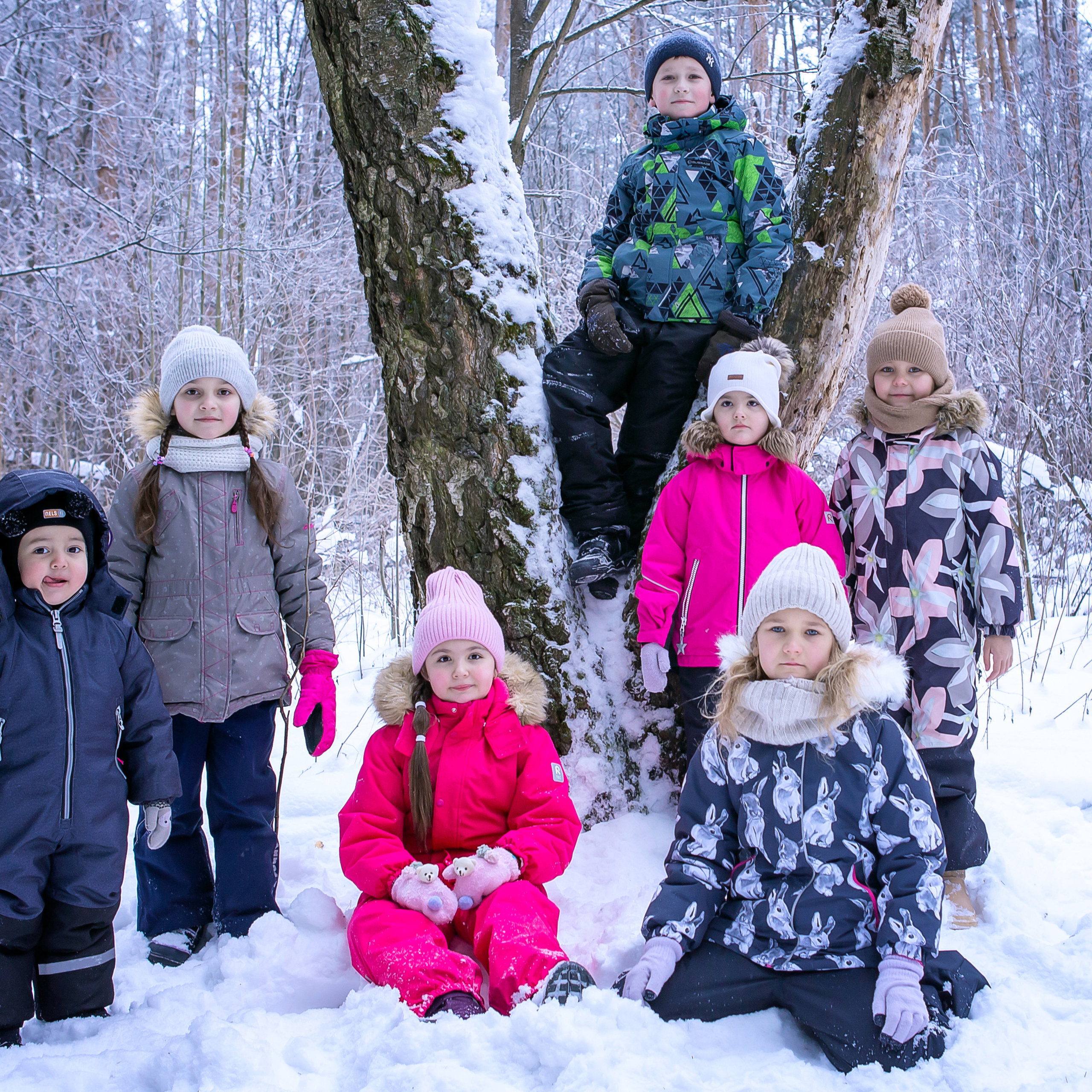 Новый год в лесу