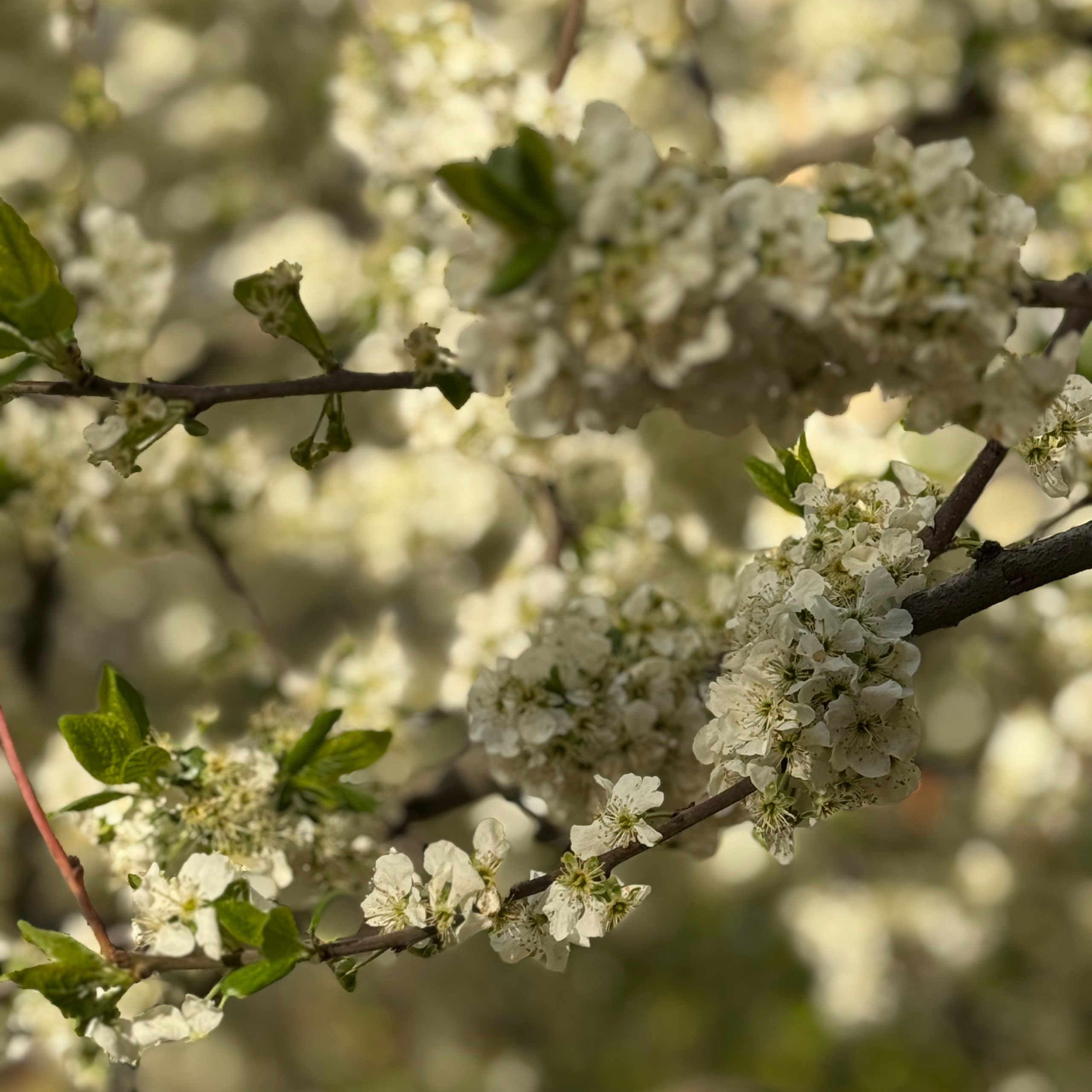 Отзывы. Выпускные альбомы для школ и детских садов