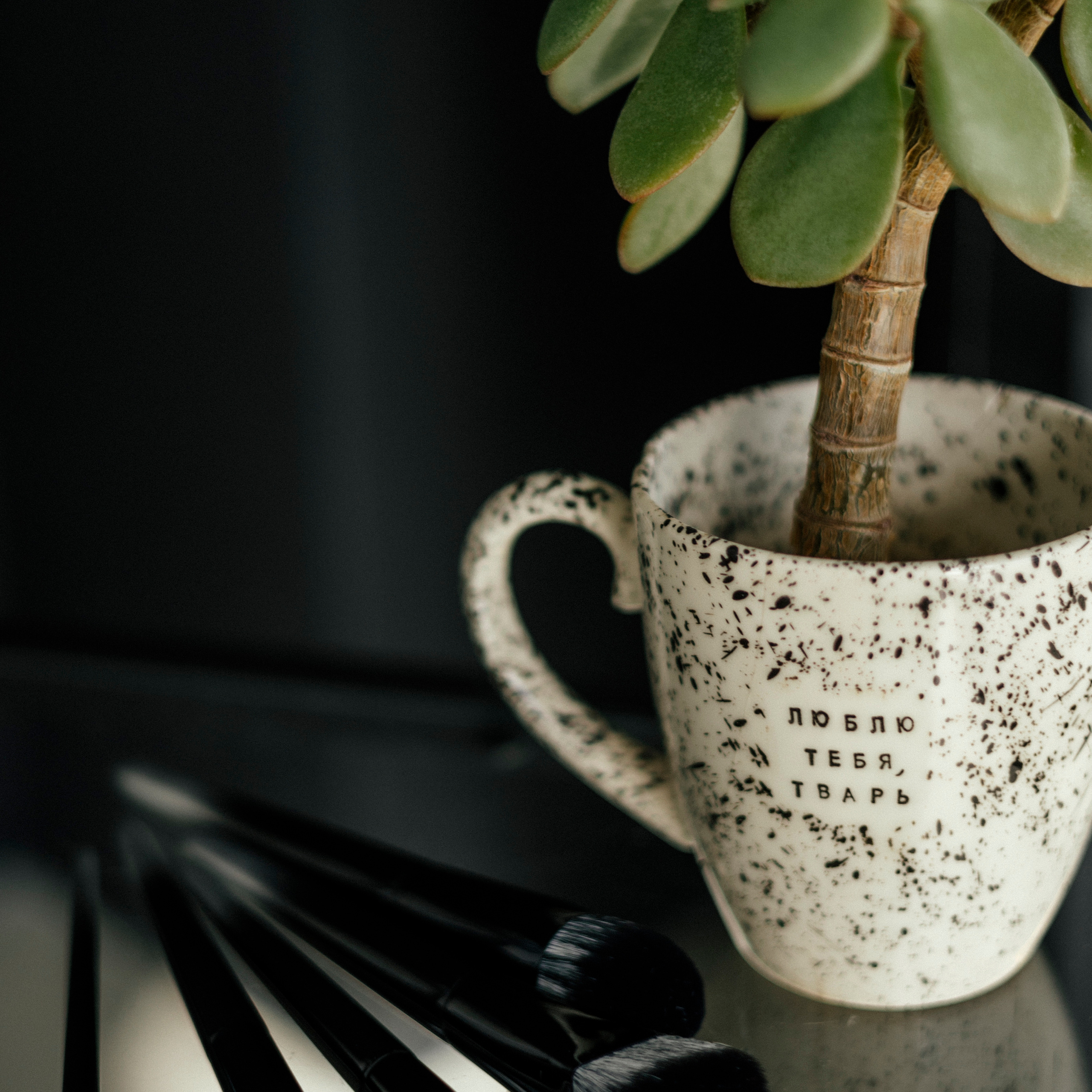 КОНТЕНТНАЯ СЪЁМКА. Женский семейный фотограф Барнаул Евгения Власова