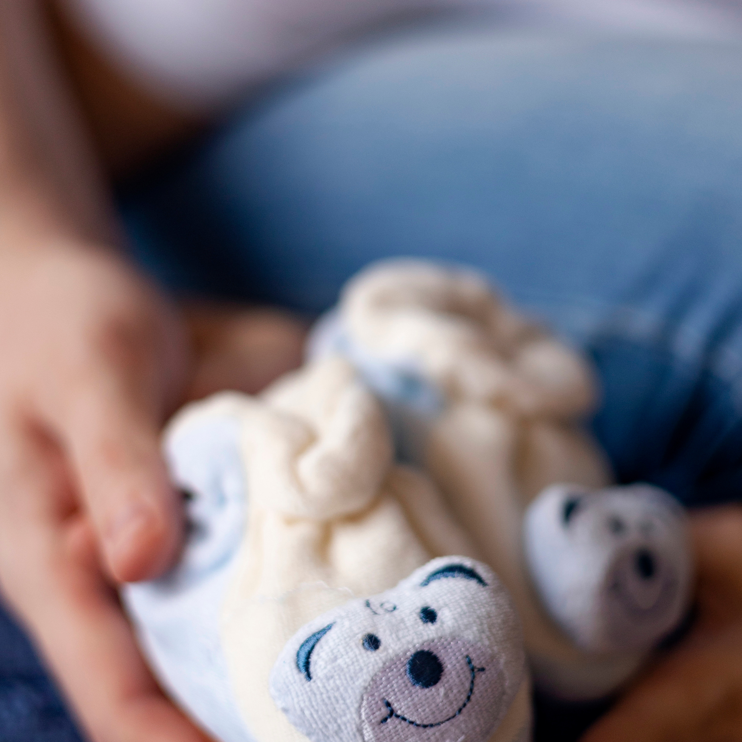 Фотосессии в фотостудии Шоколад. Женский семейный фотограф Барнаул Евгения Власова