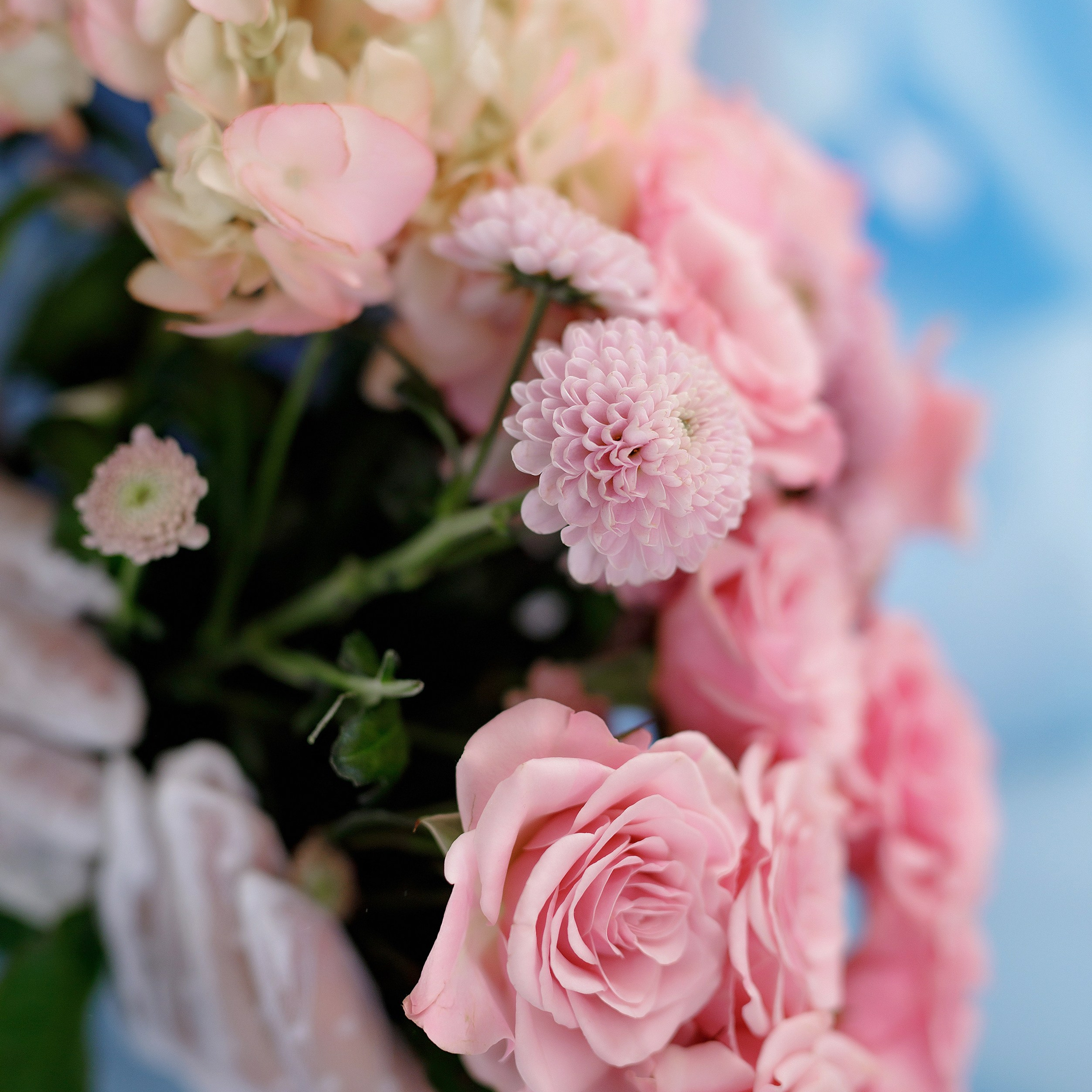 Фотопроекты. Женский семейный фотограф Барнаул Евгения Власова