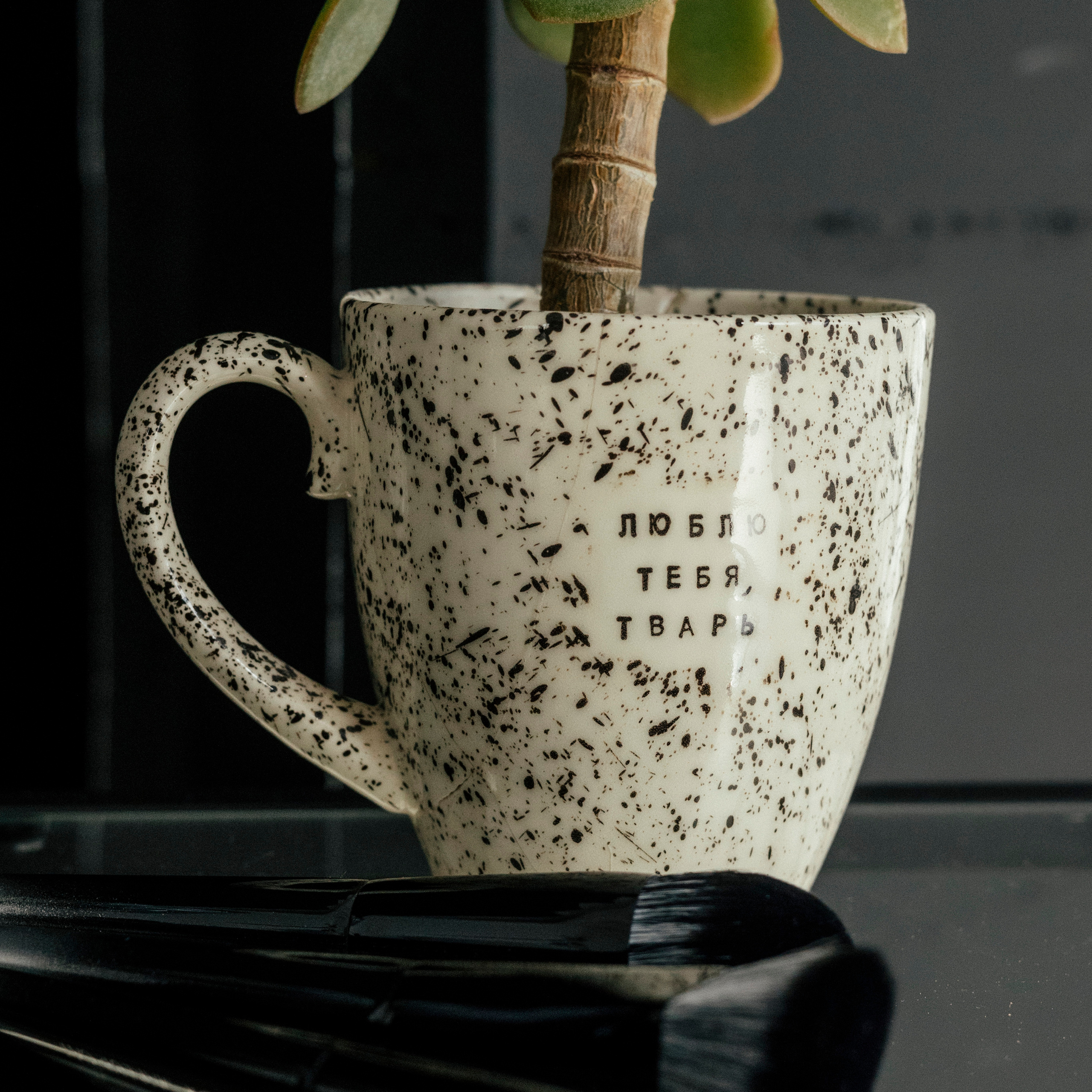 КОНТЕНТНАЯ СЪЁМКА. Женский семейный фотограф Барнаул Евгения Власова