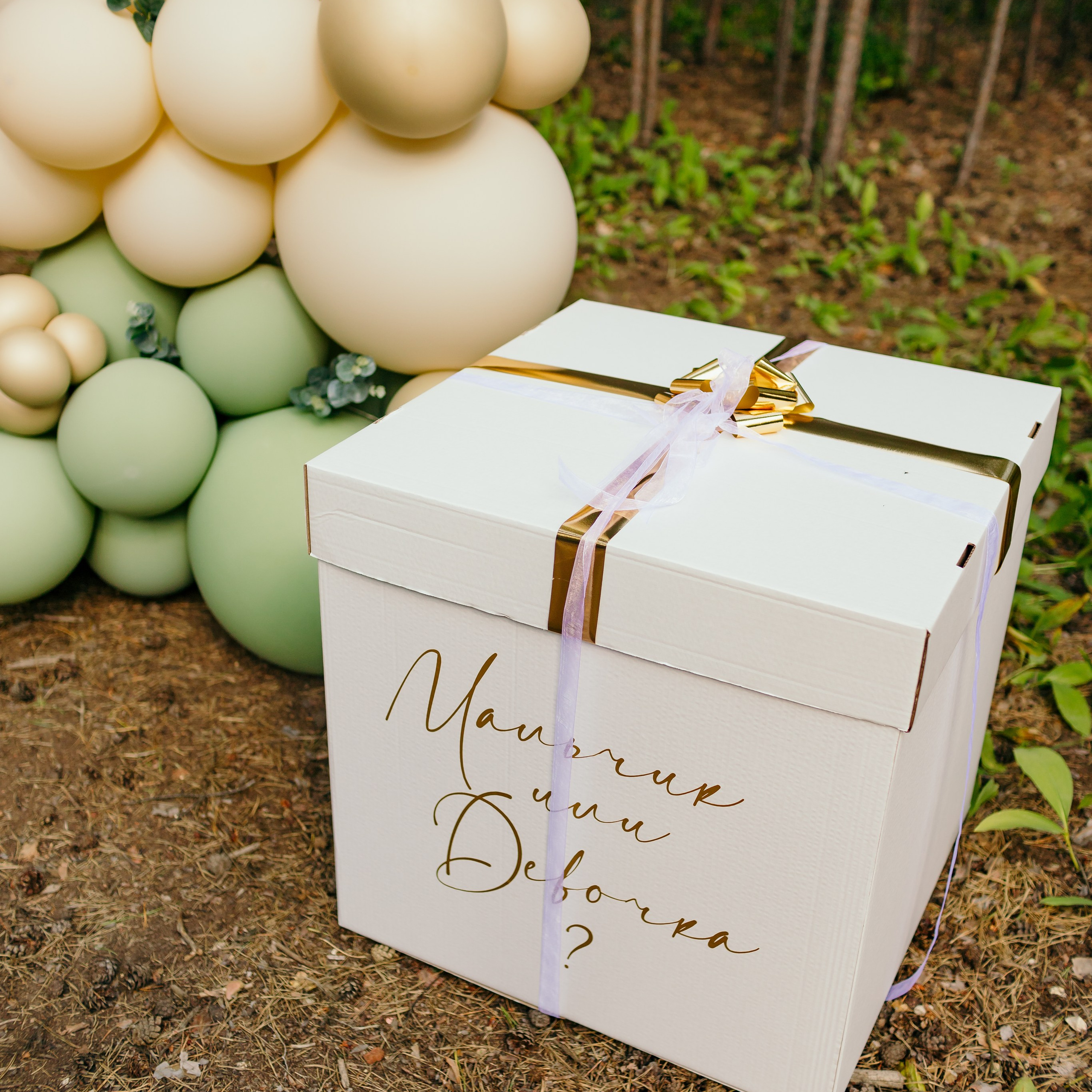 Портфолио. Семейный фотограф в Рязани Харламова Влада