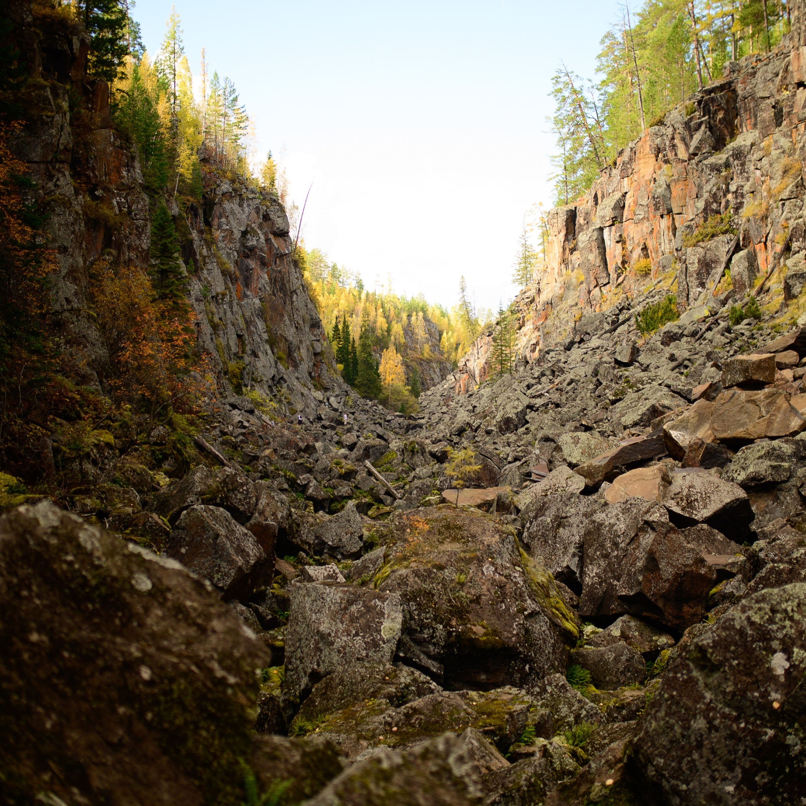 Фотограф Белозеров Дмитрий Усть-Илимск Блог. Свадебный и индивидуальный Фотограф г. Усть-Илимск Дмитрий Белозеров