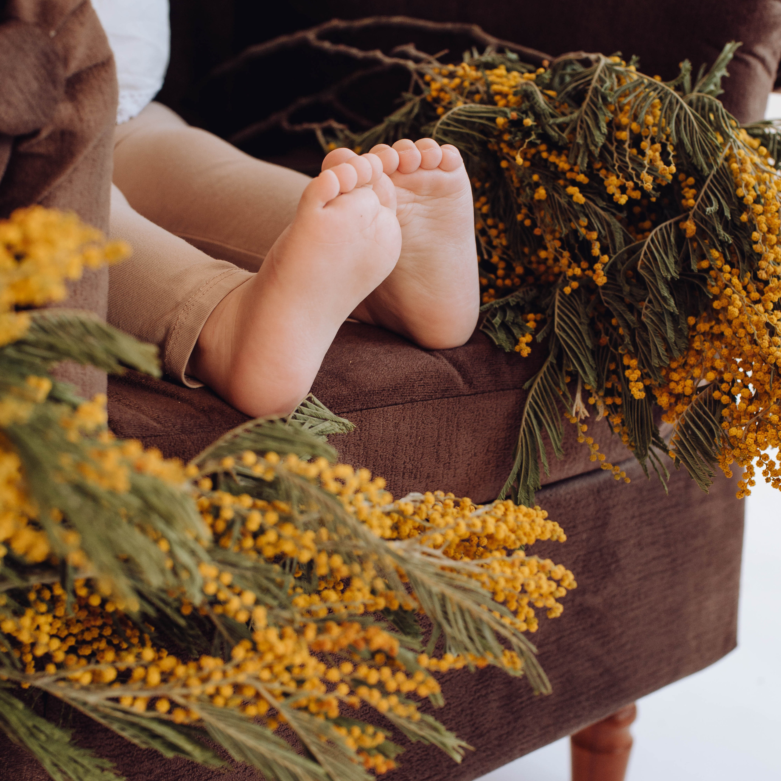 Отзывы. Портфолио