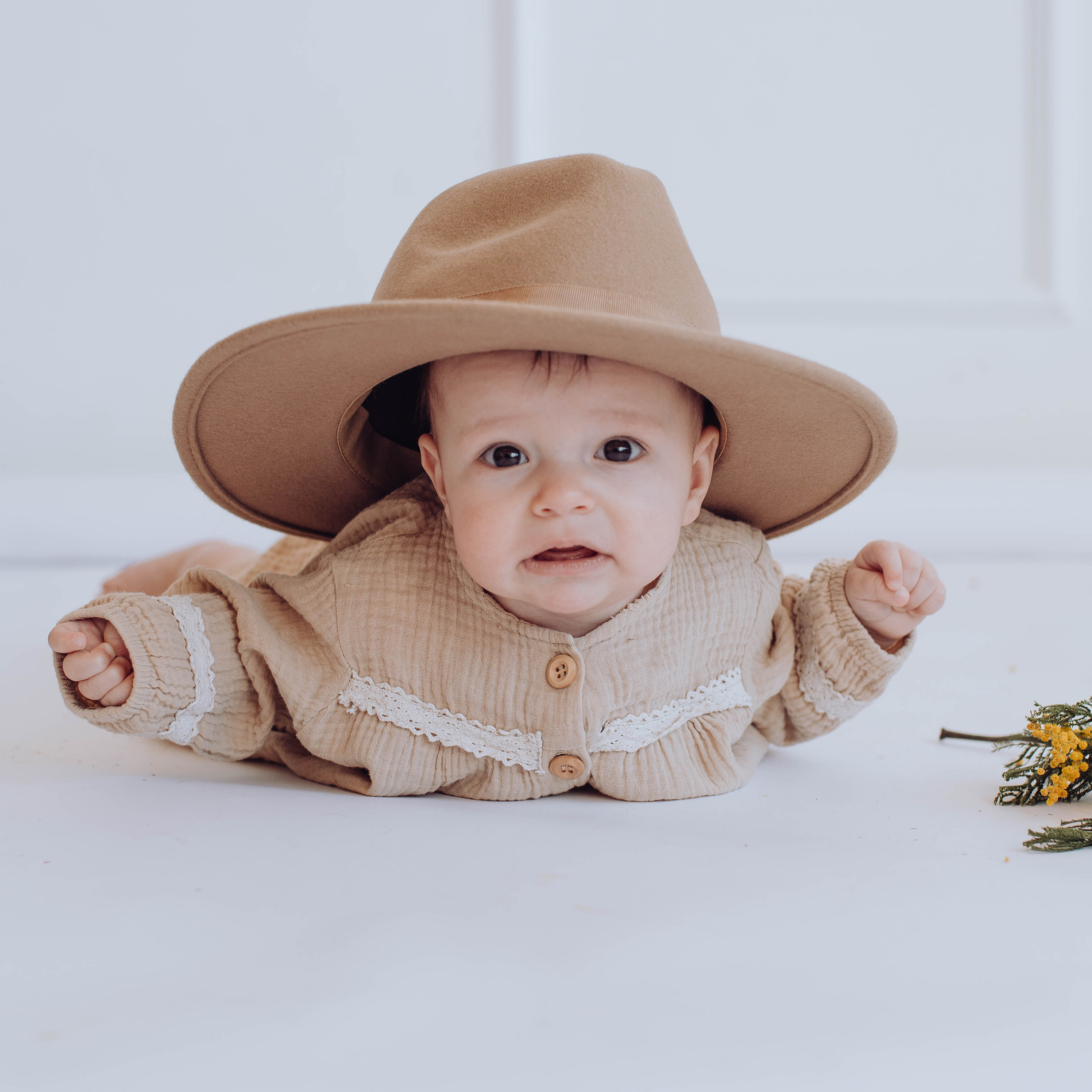 Отзывы. Портфолио