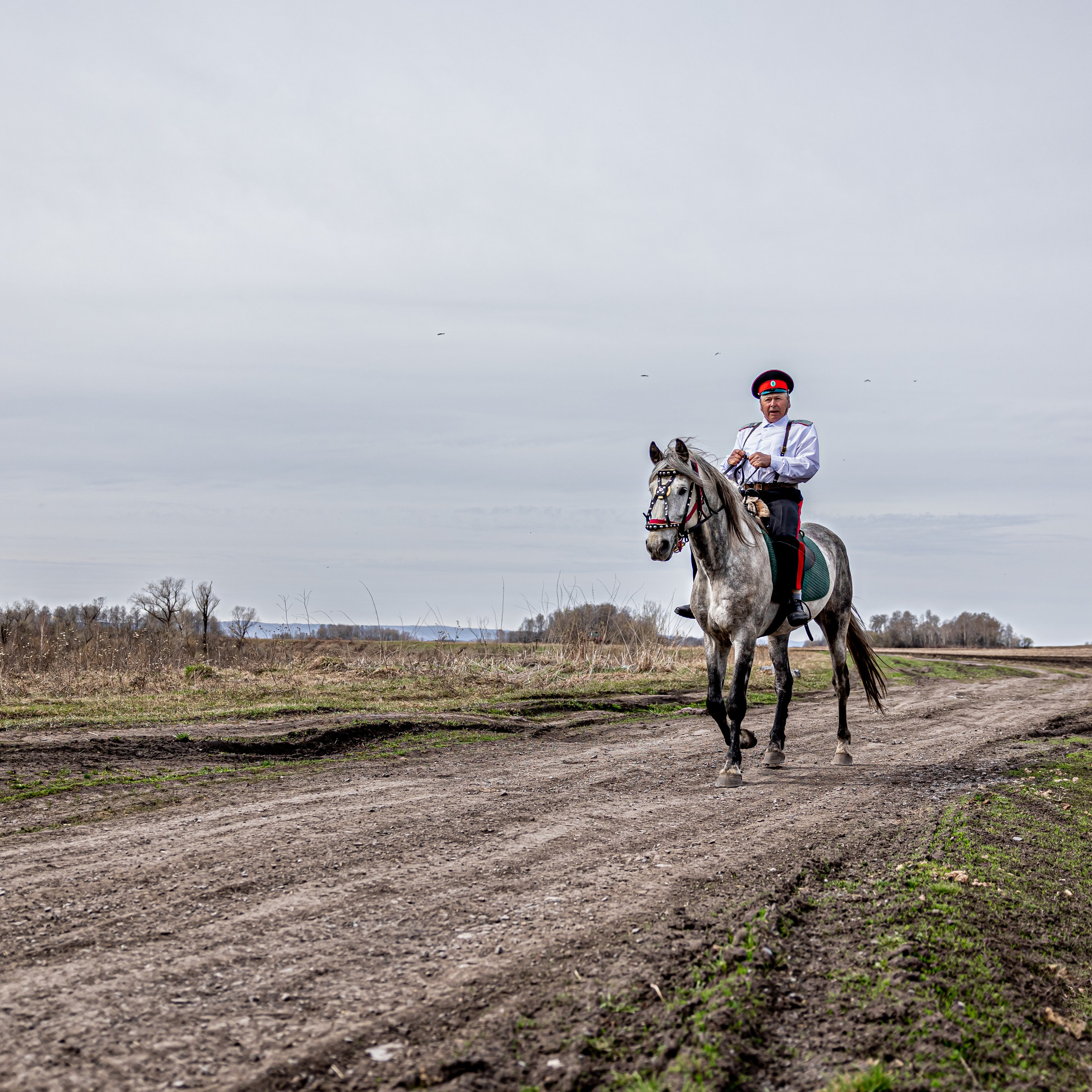 Фотосессия с Лошадьми