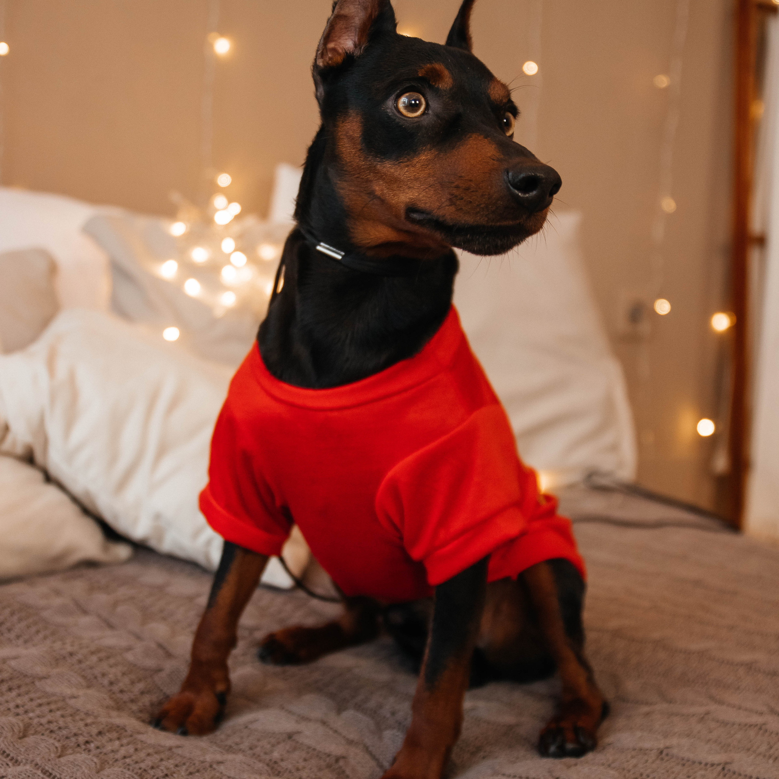 Отзывы. Фотограф города Киселевск