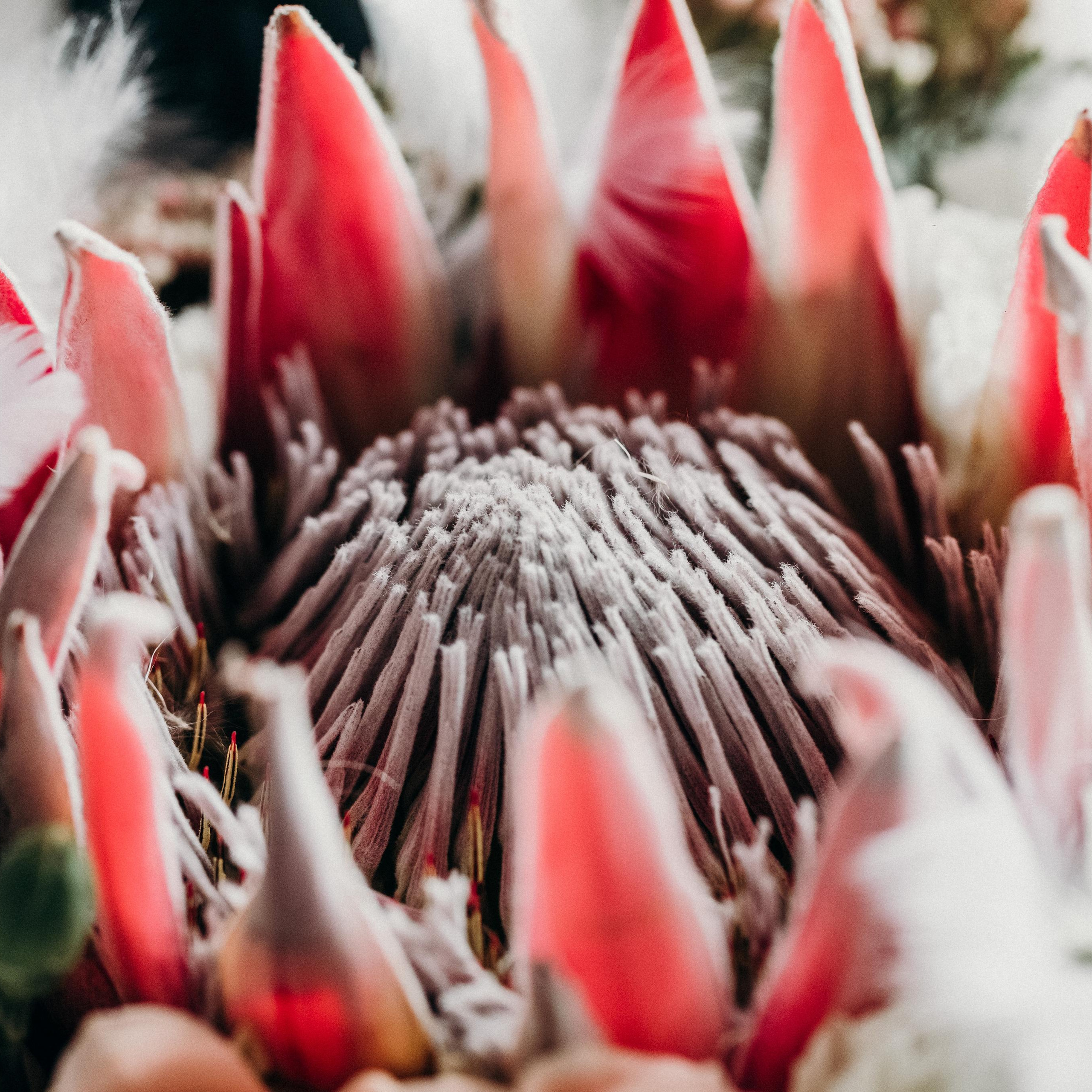 Отзывы на фотографа Евгений Константинопольский. Biser Lab | Свадебное кино и фотография в Красноярске — Евгений Константинопольский