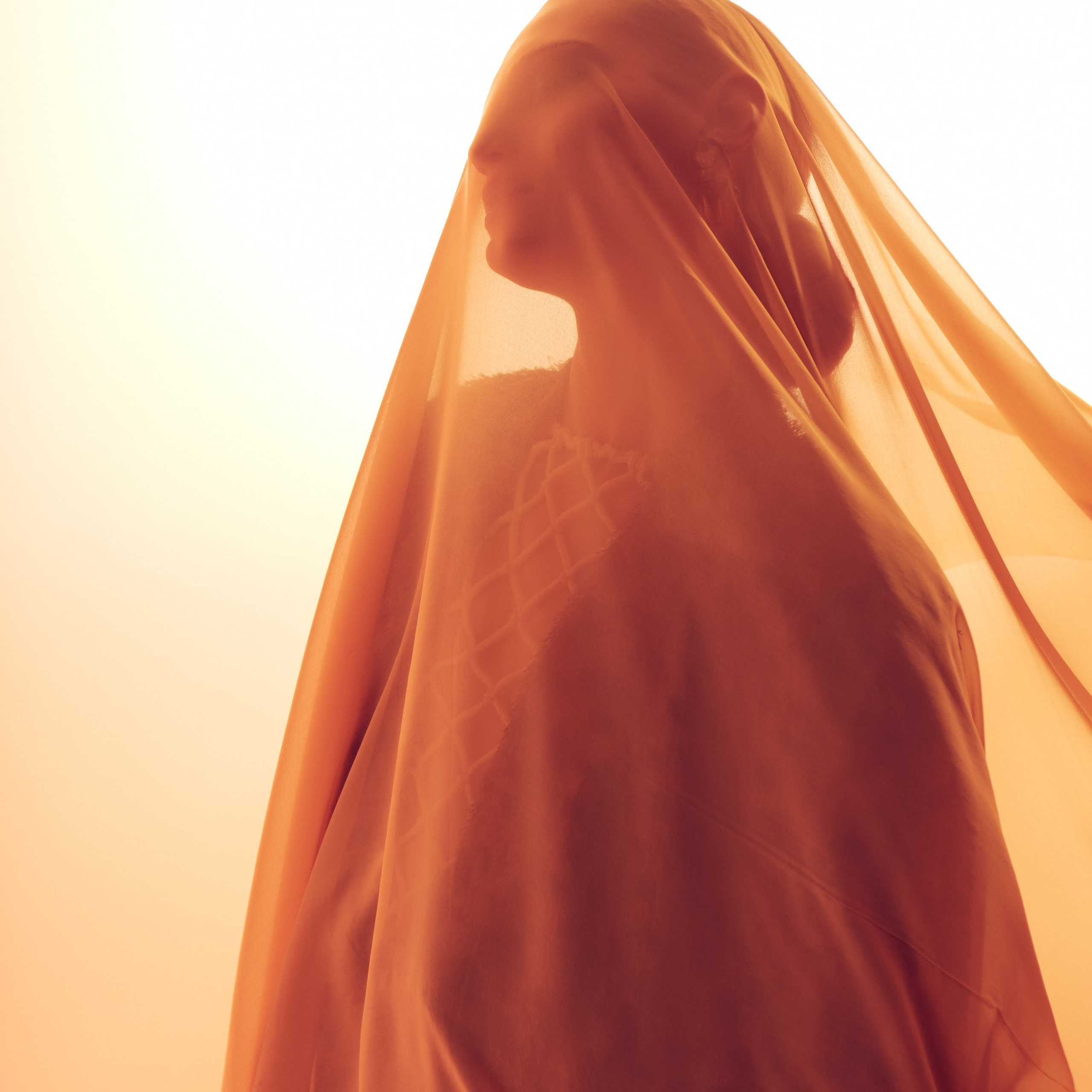 Анонсы. Контакты