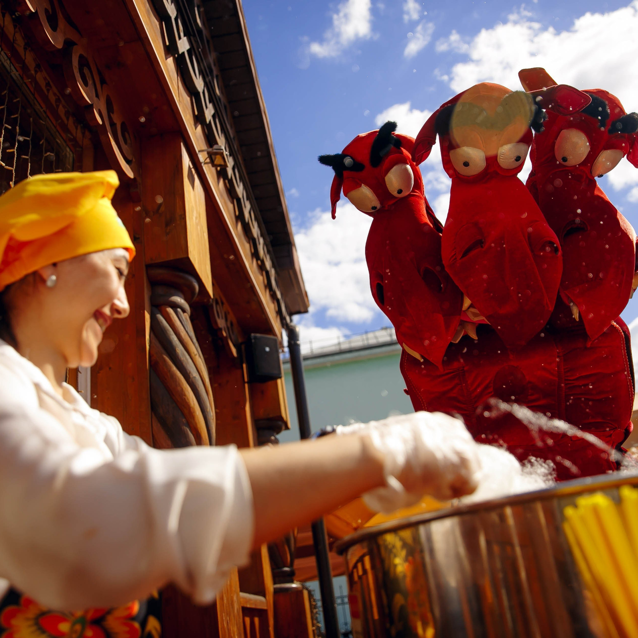 Алеша попович двор