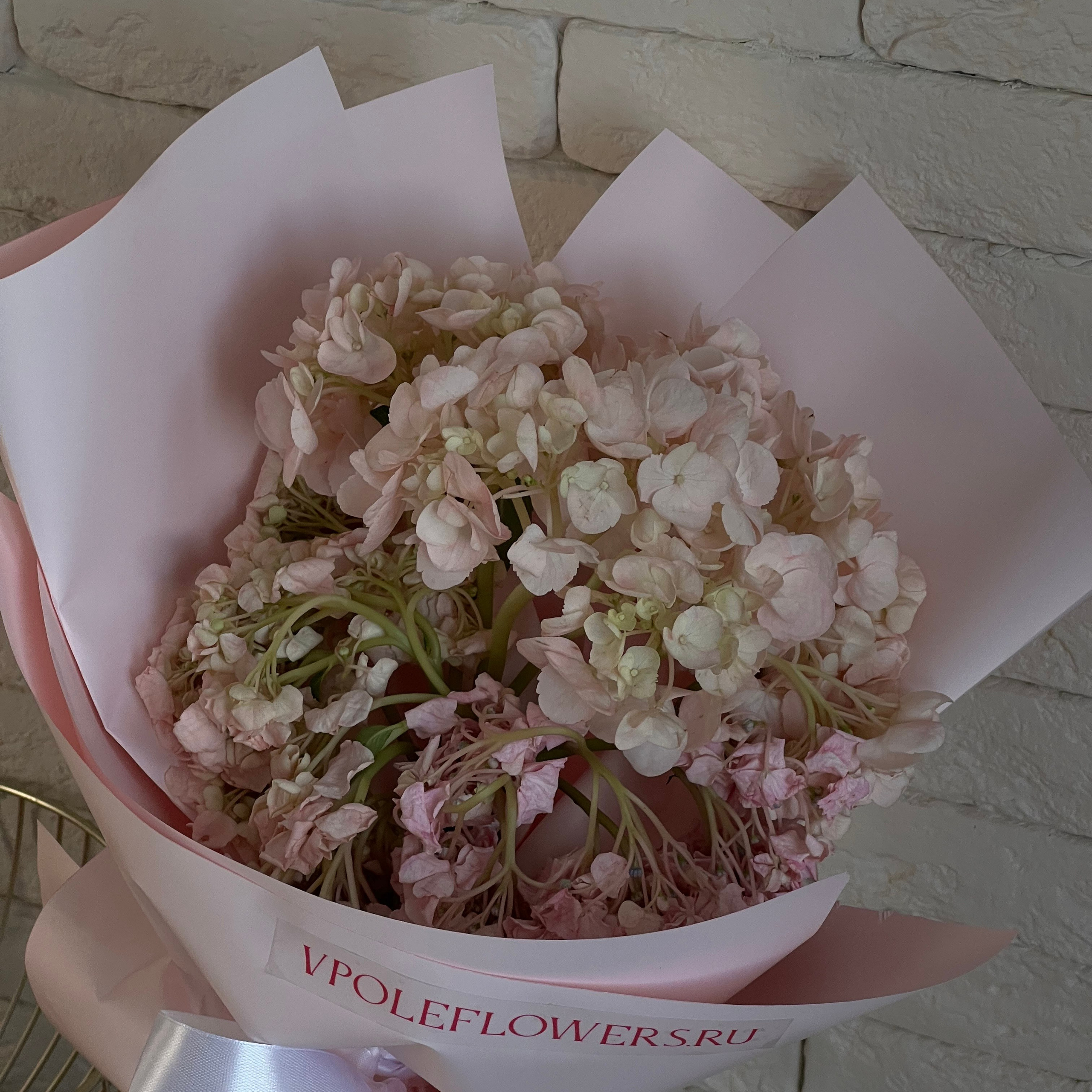 Отзывы. Ваш репортажный фотограф Артемий Антонов