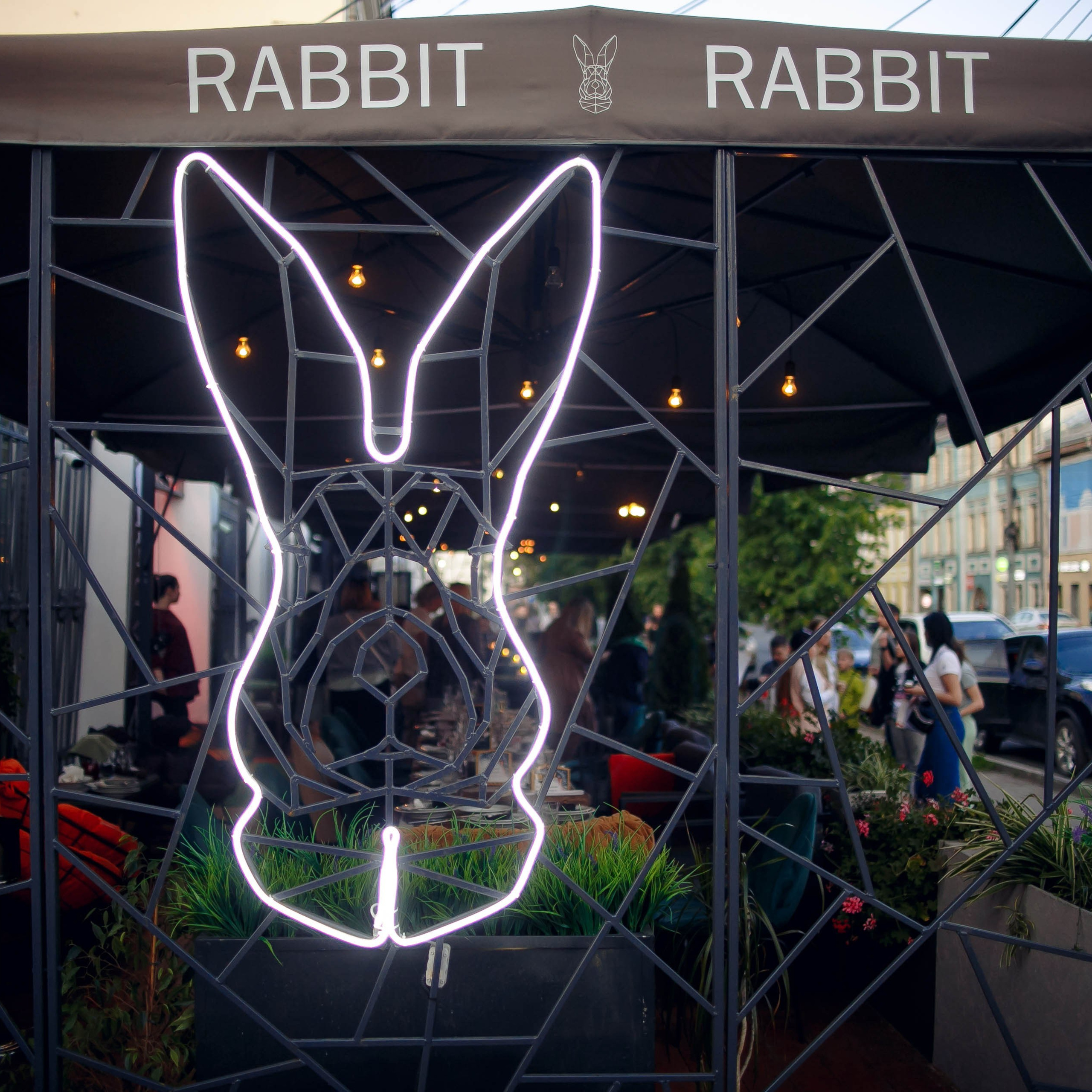 «Белый Кролик»