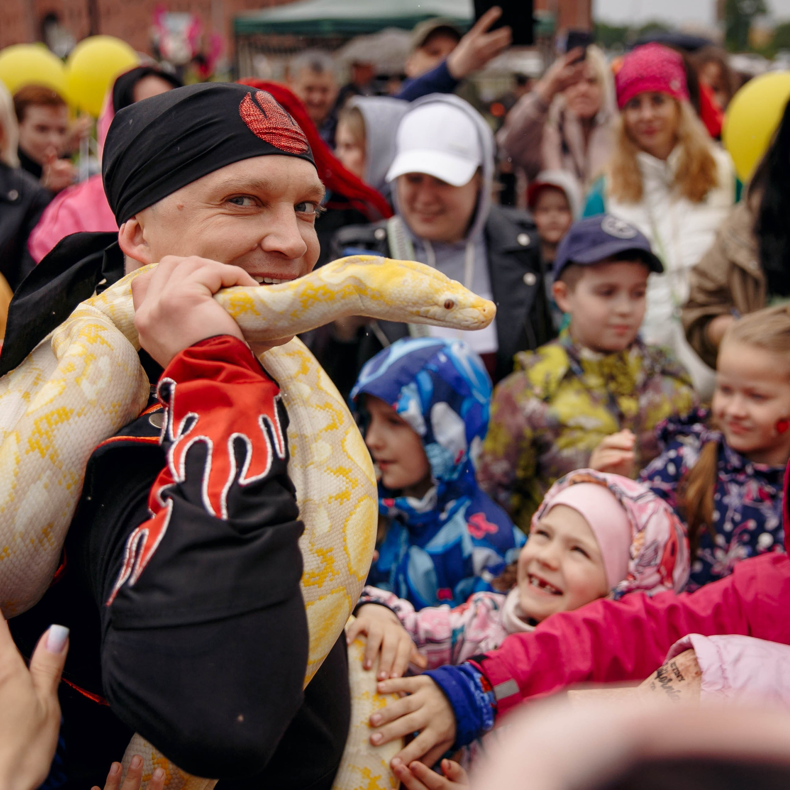 5 лет колесу обозрения