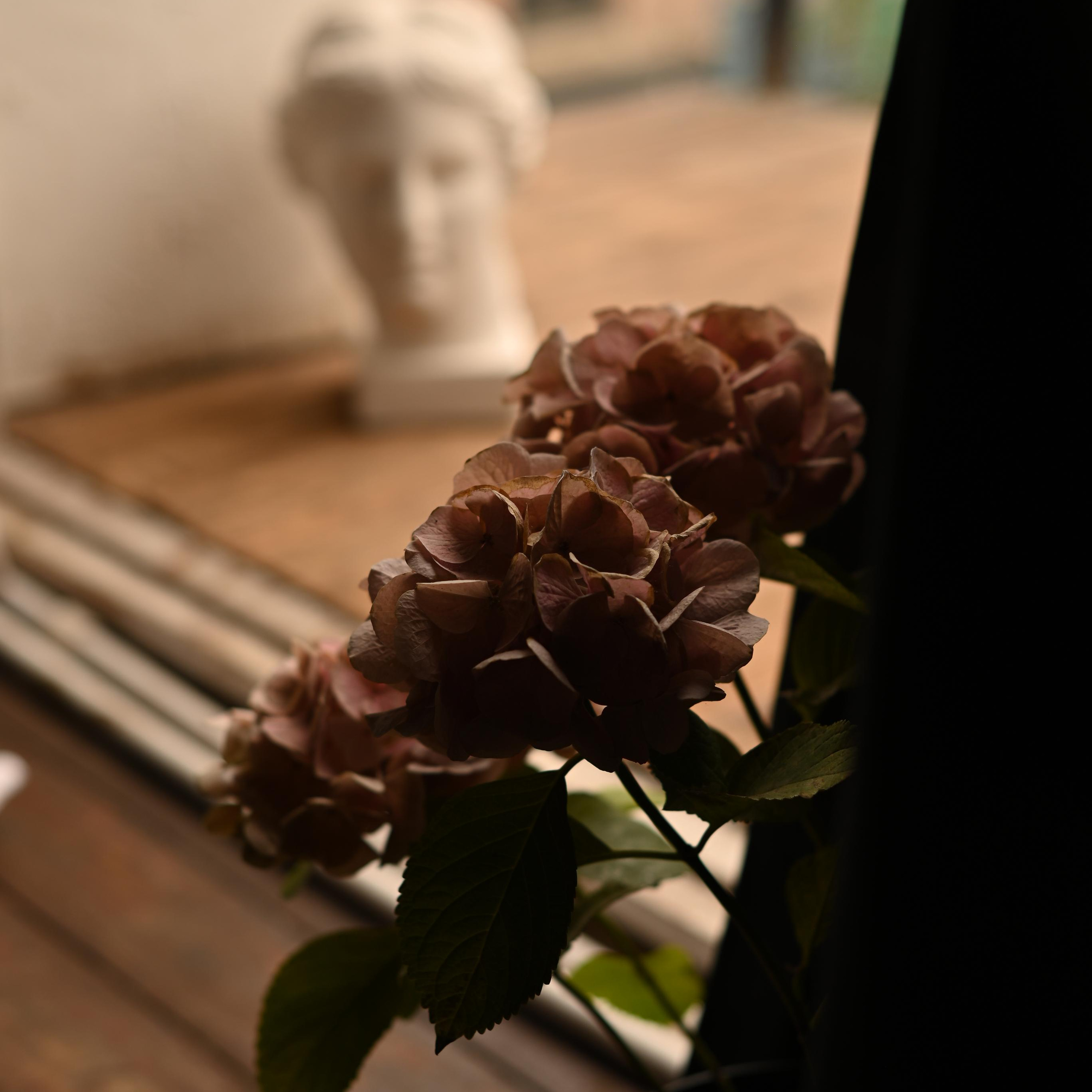 Отзывы. Семейный фотограф ЕЛЕНА ШАФИГУЛИНА