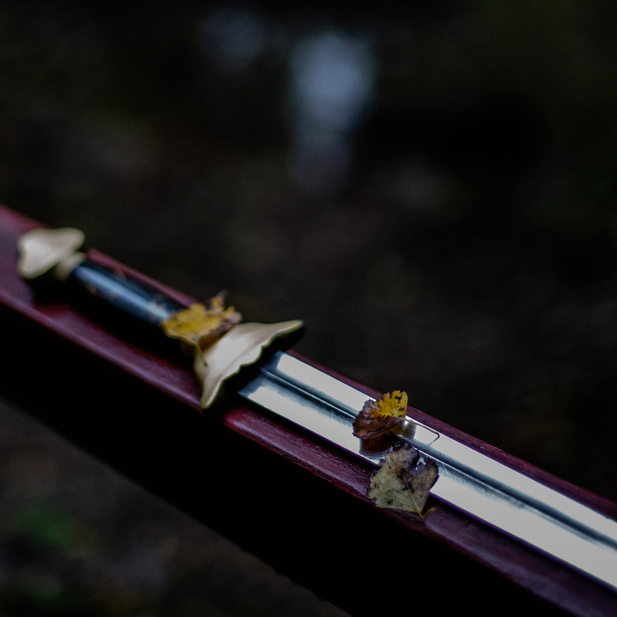 Отзывы. Портретный фотограф в Москве и Геленджике Кирилл Вахитов