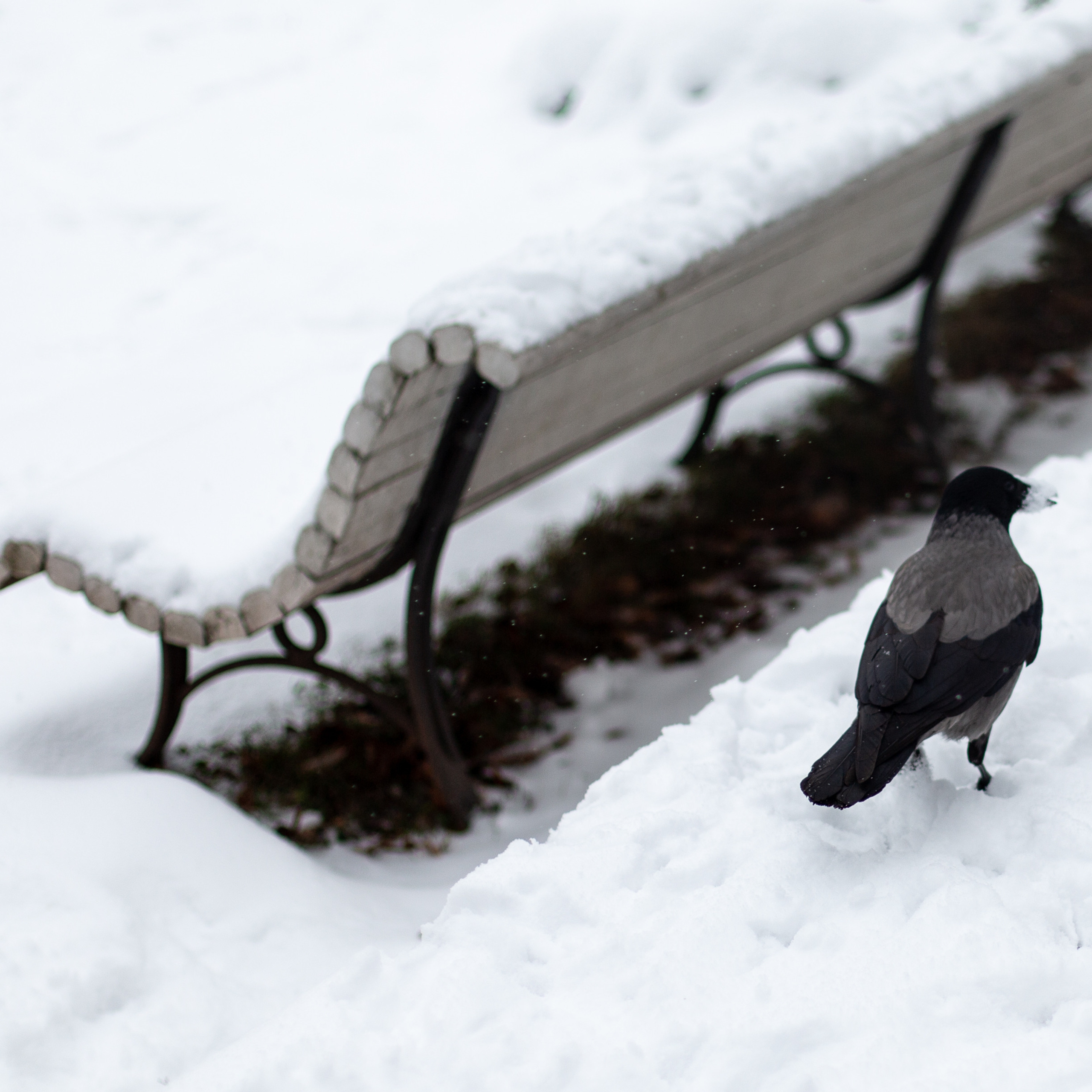 Отзывы. Портретный фотограф в Москве и Геленджике Кирилл Вахитов