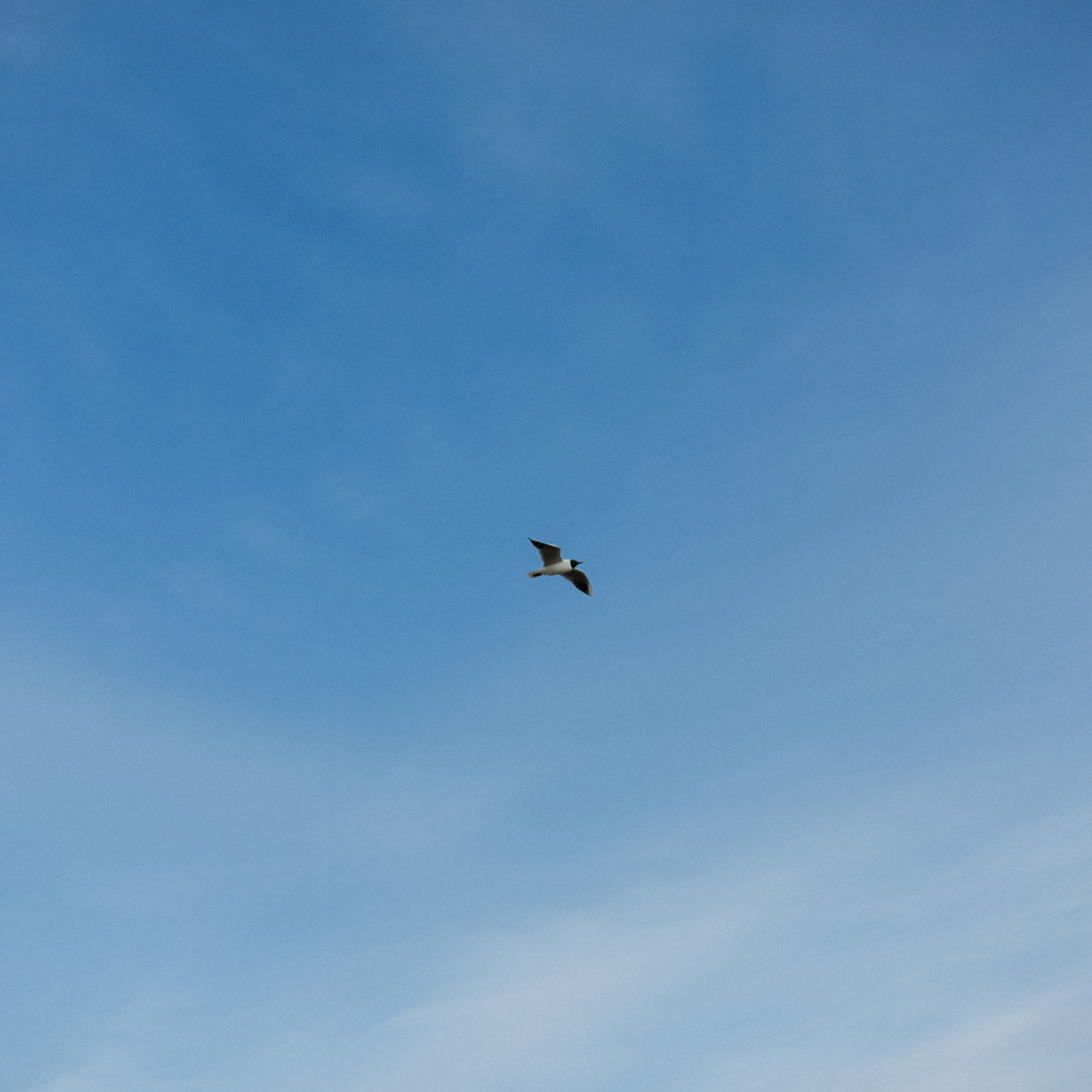 Отзывы. Портретный фотограф в Москве и Геленджике Кирилл Вахитов