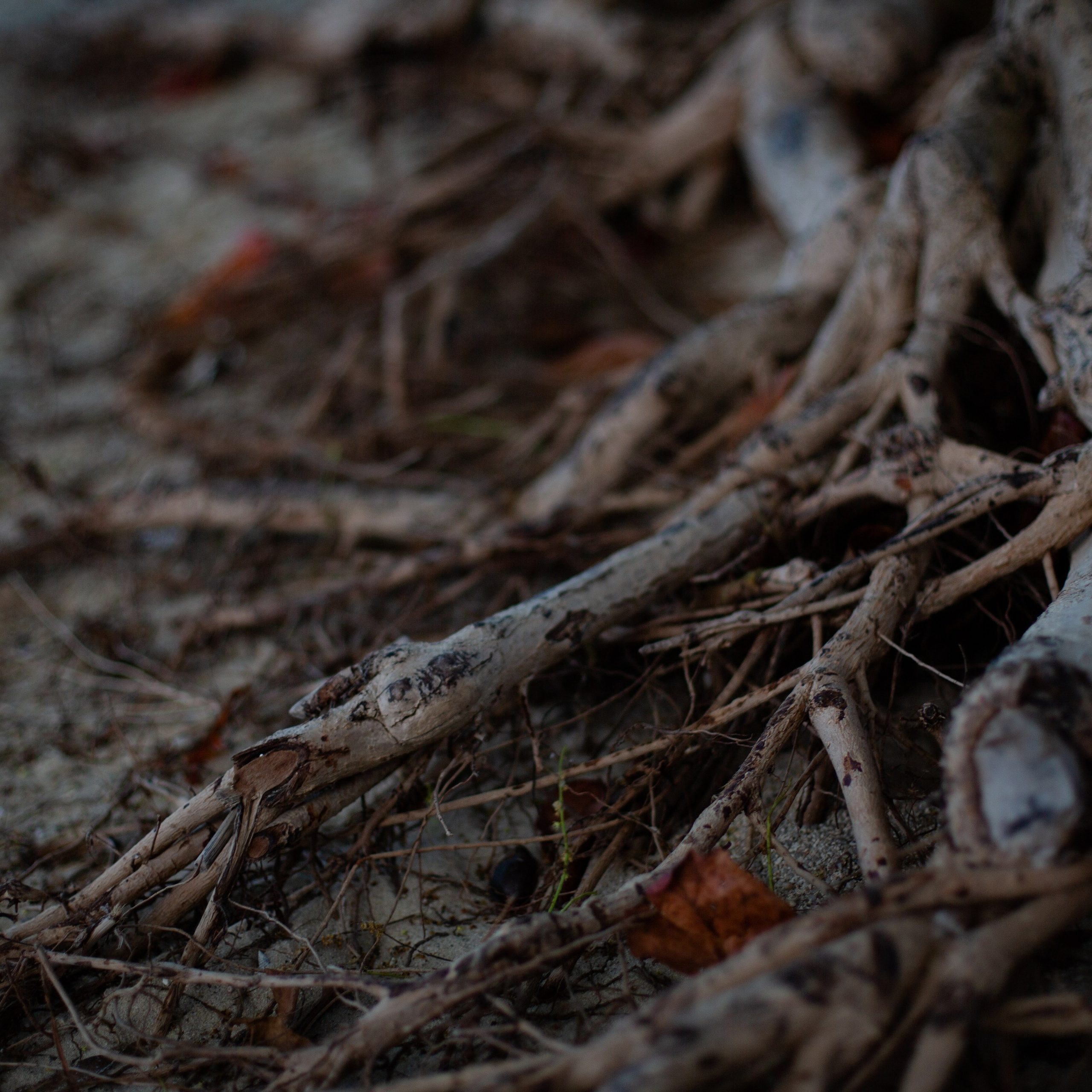 Отзывы. Портретный фотограф в Москве и Геленджике Кирилл Вахитов