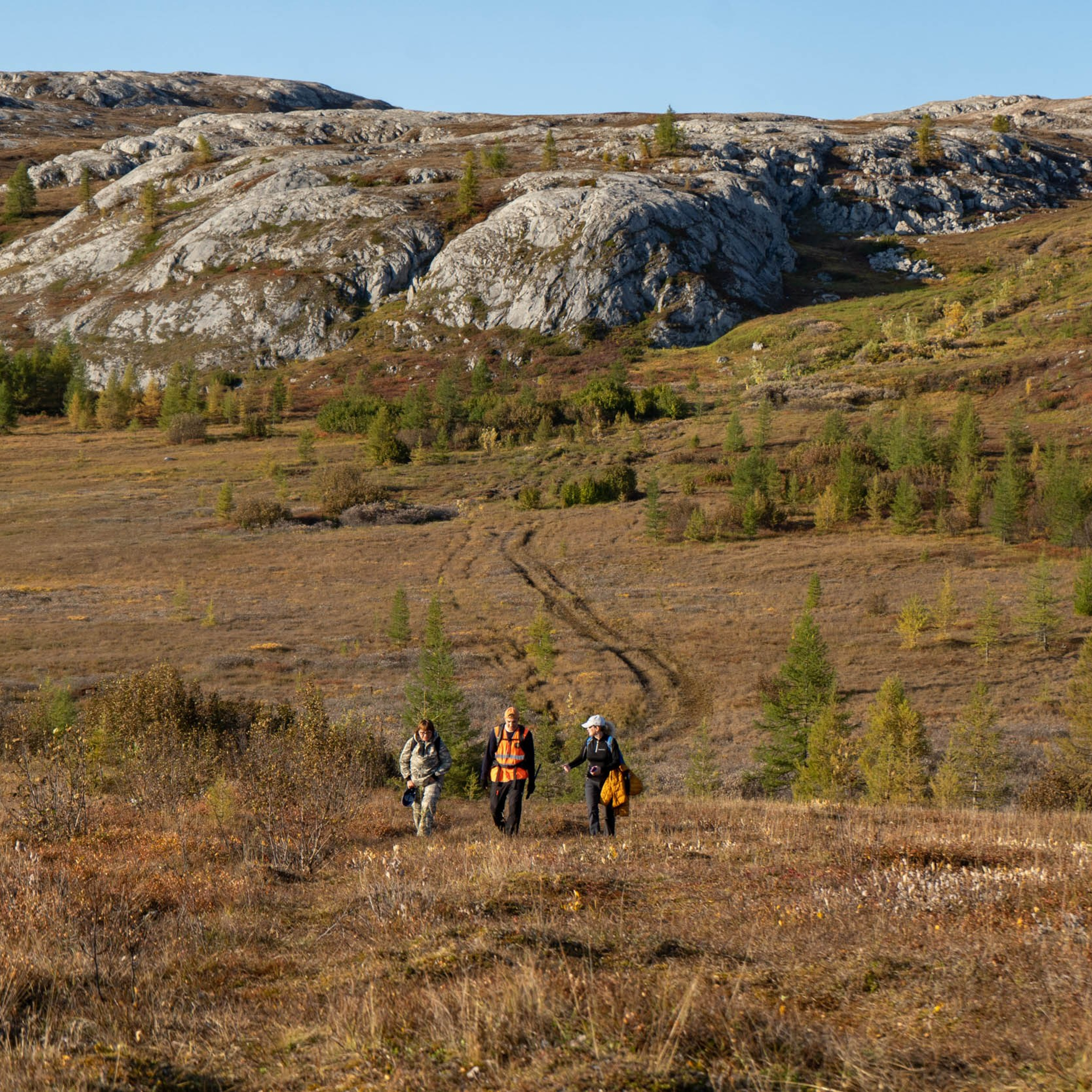 Рифы девонского моря