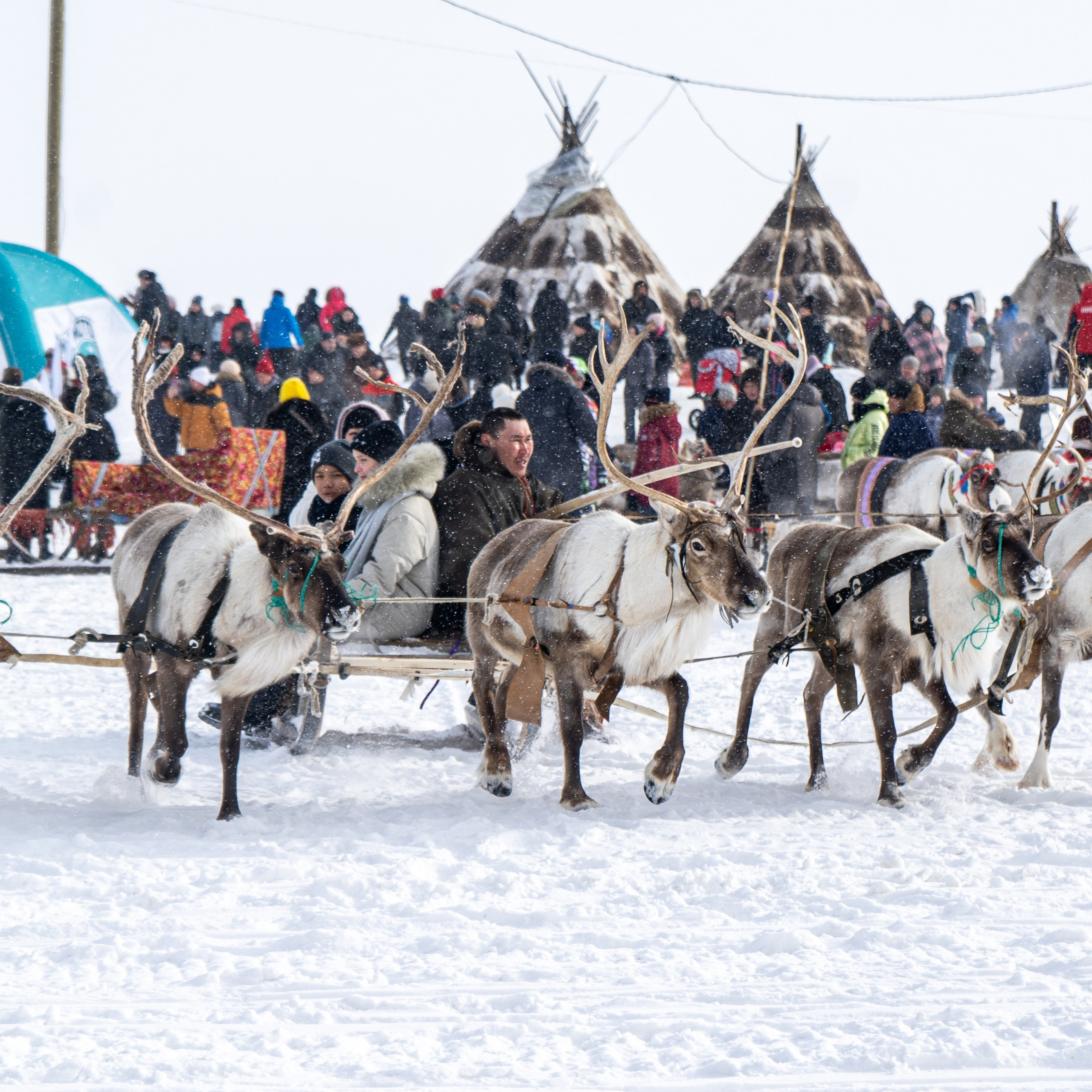 День Оленевода