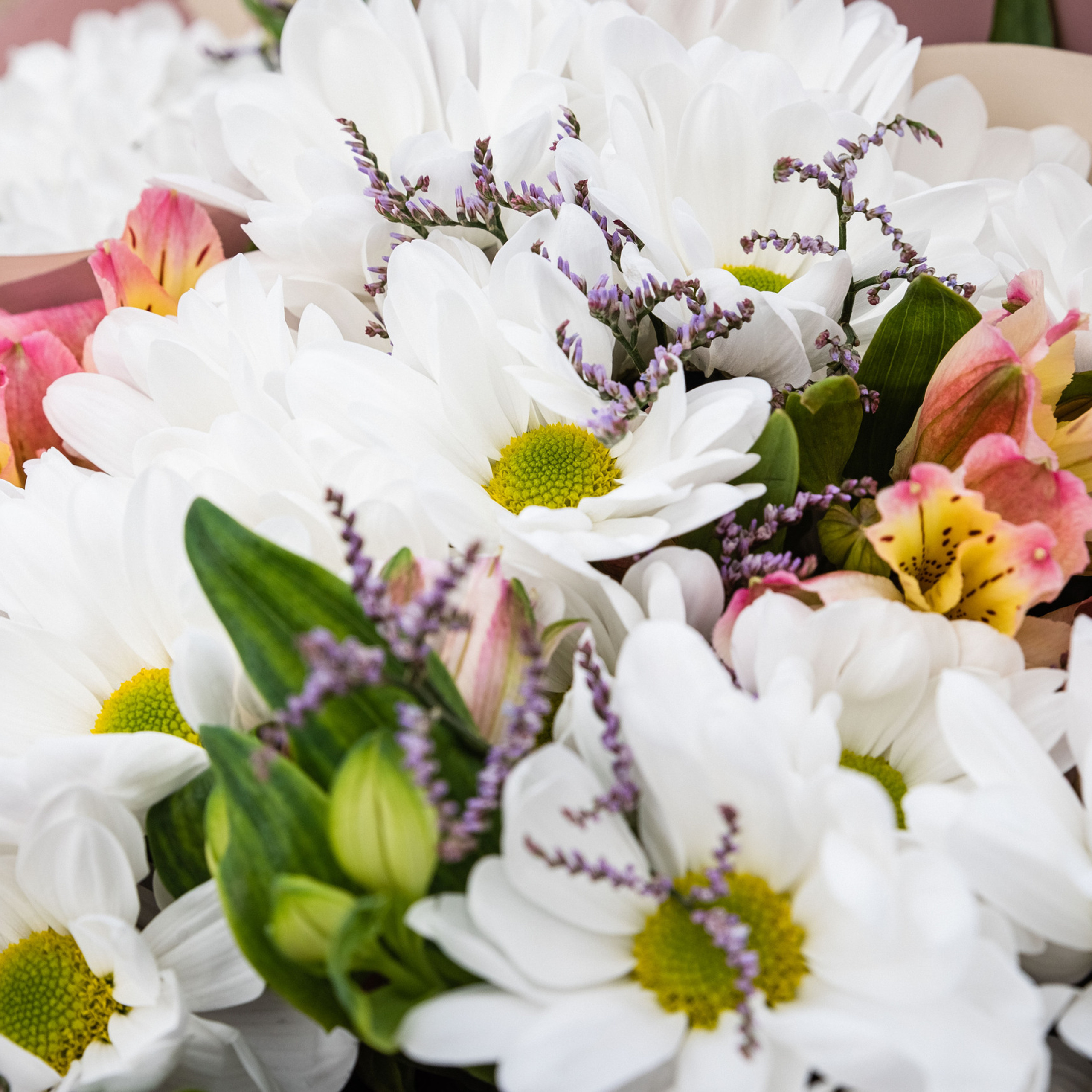 Отзывы. Портретный и предметный фотограф — Москва, Коломна, юго-восток Моск.обл