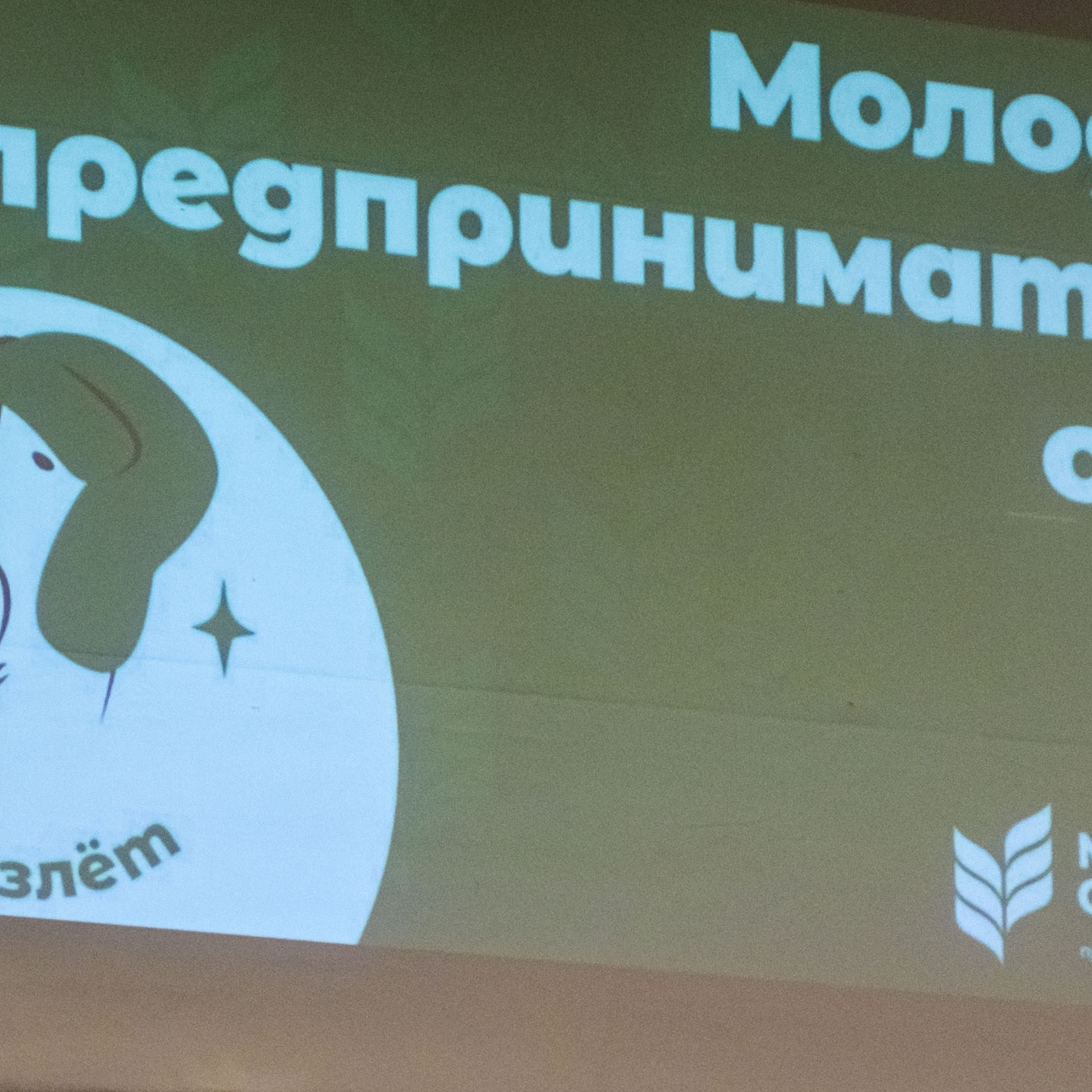 Отзывы. Портретный и предметный фотограф — Москва, Коломна, юго-восток Моск.обл